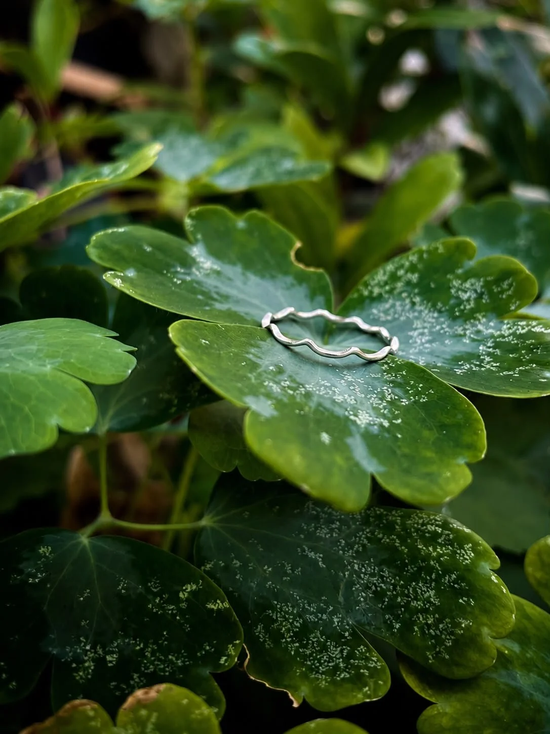 Tide Ring
