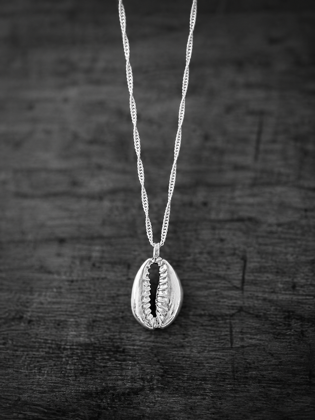 cowrie 5.png