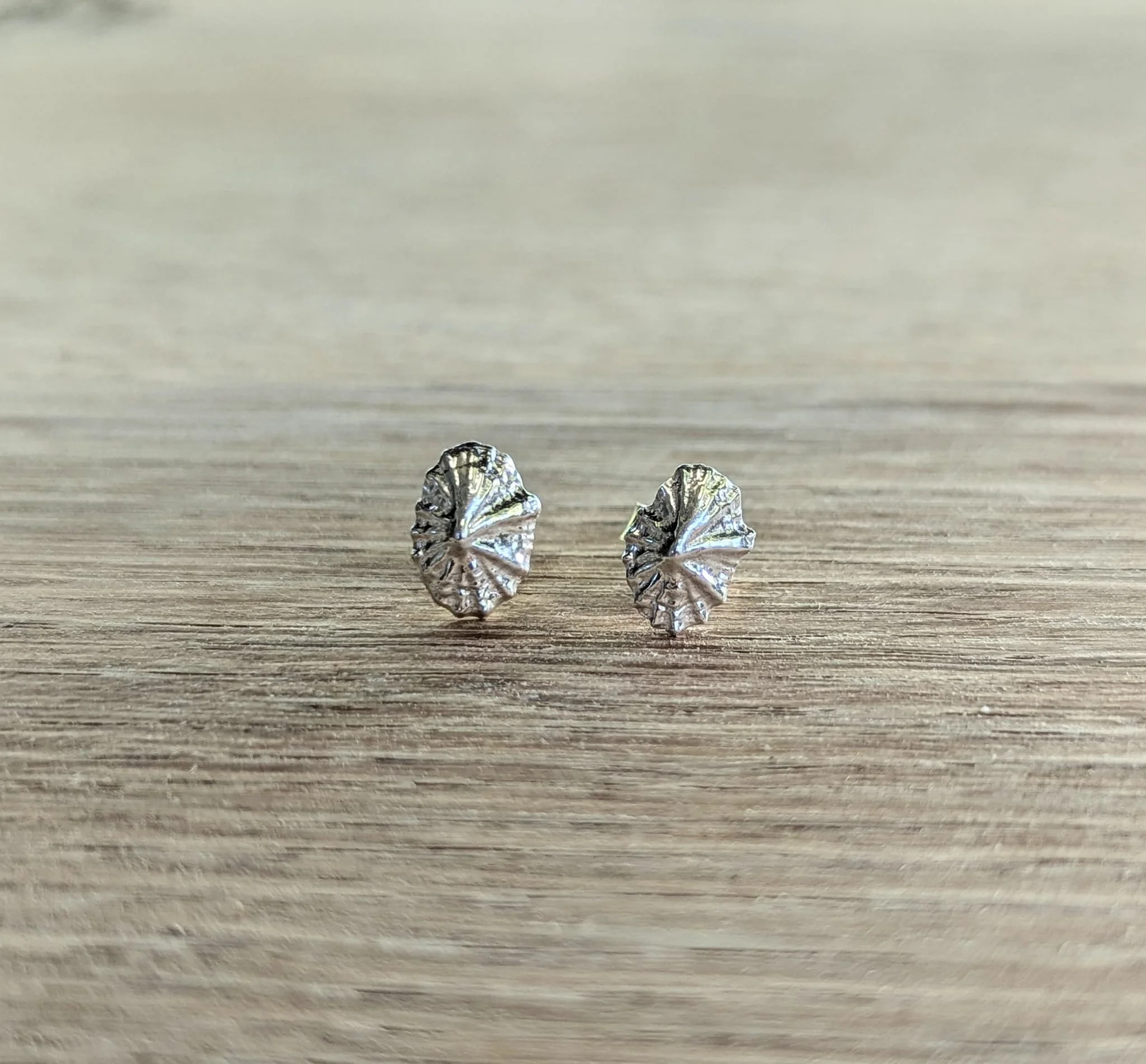 Limpet Stud Earrings
