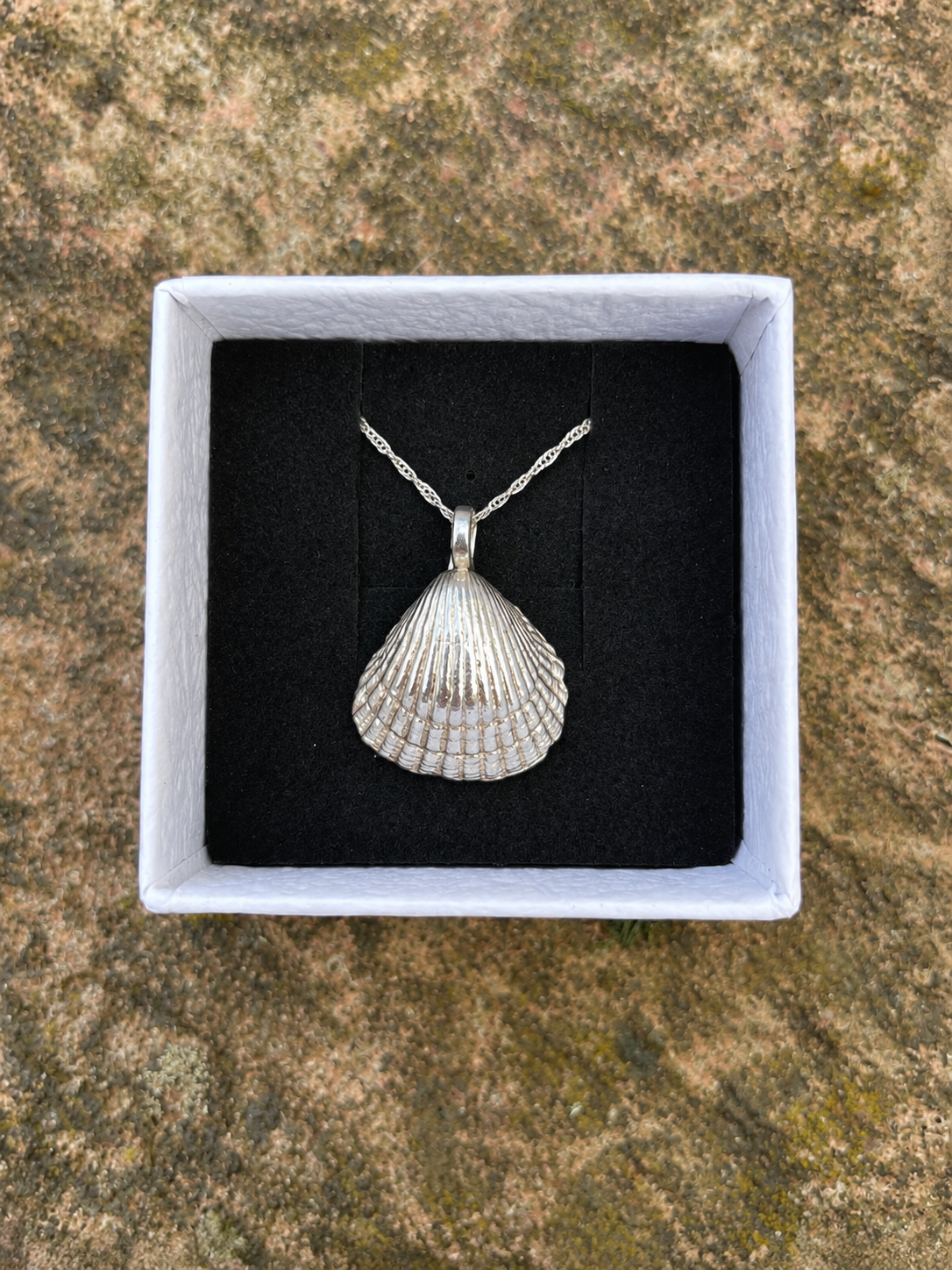 Cockle Pendant Necklace