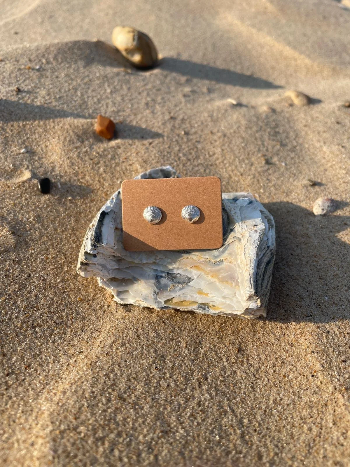 Cockle Stud Earrings