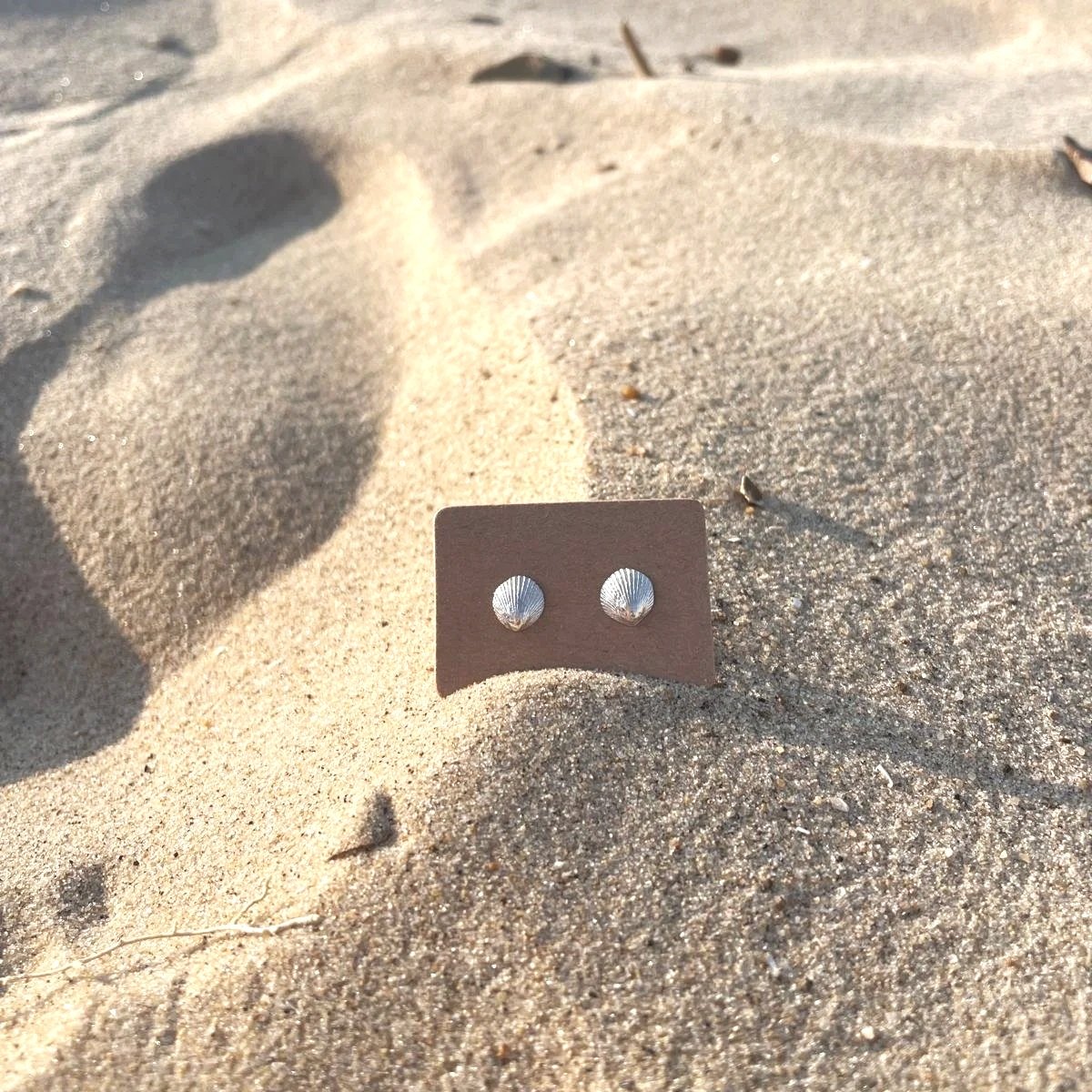 Australian Cockle Stud Earrings