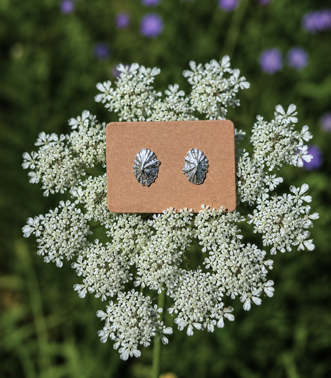 Limpet Stud Earrings