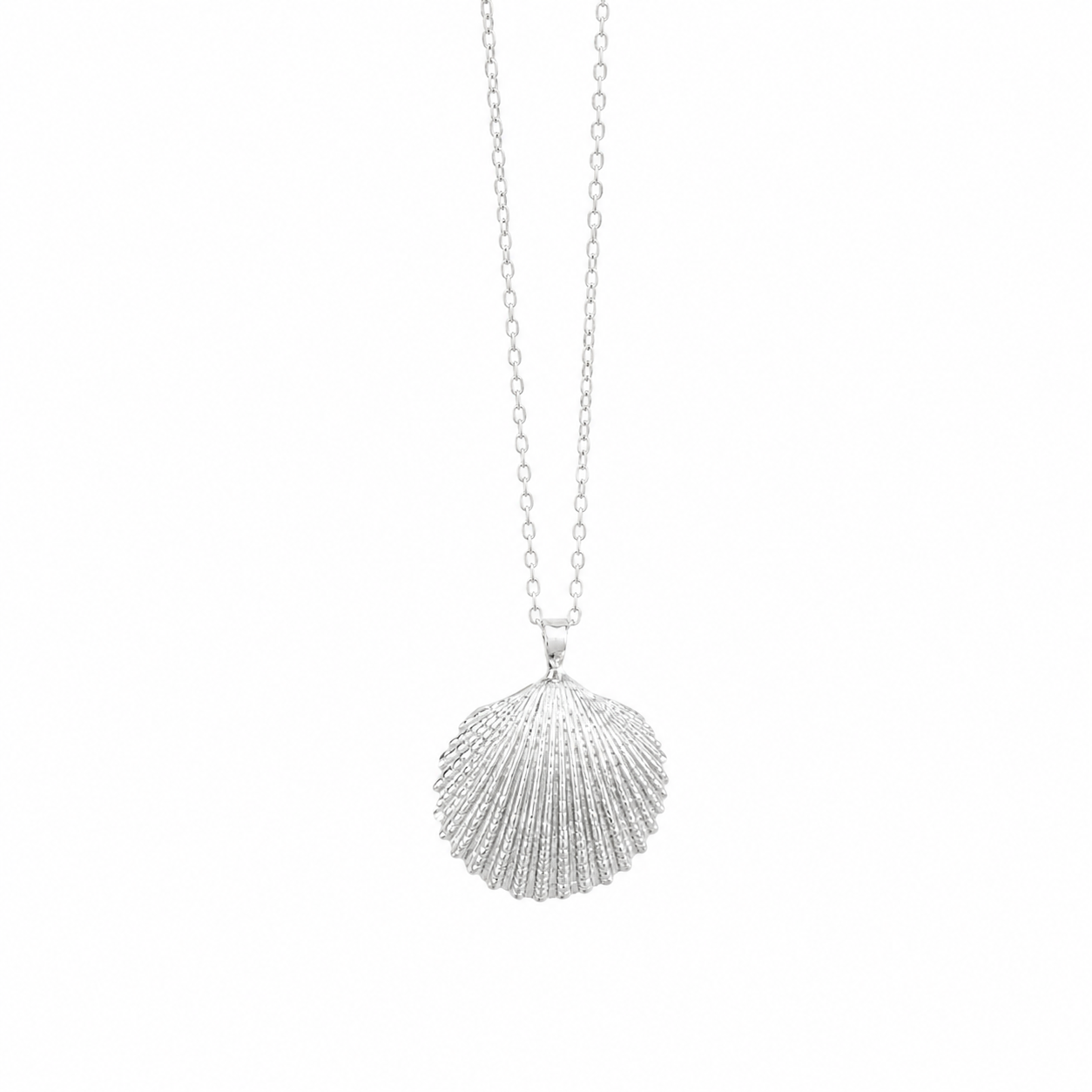 Australian Cockle Pendant Necklace