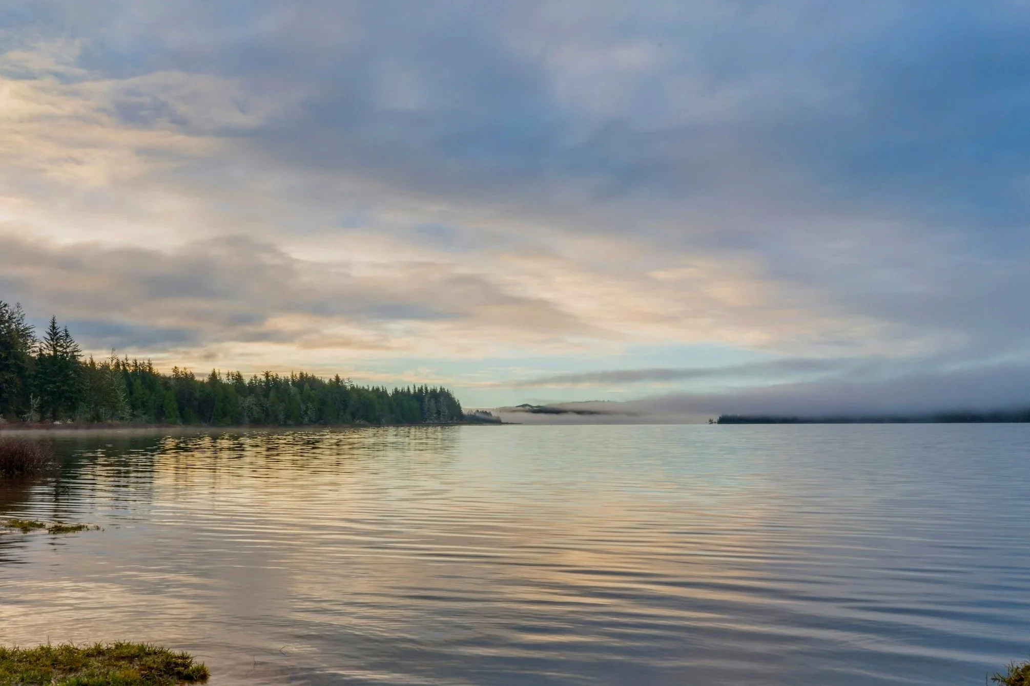 En lugn vattenspegel med trädbevuxna öar på avstånd under en molnig himmel