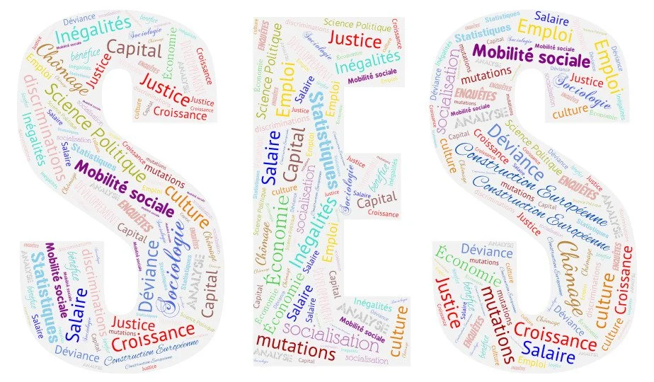 Illustration des Sciences économiques et sociales (SES) et de leurs principales notions