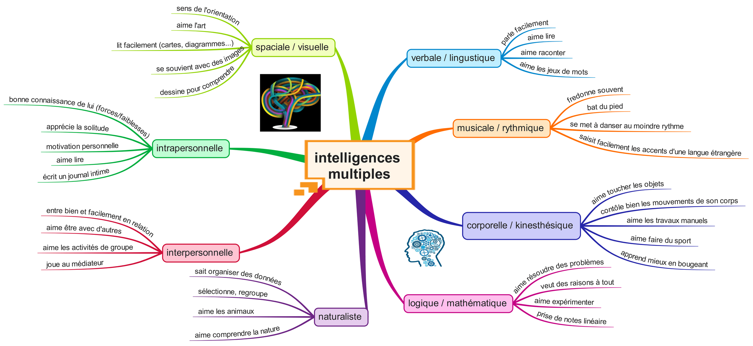 Carte mentale présentant les différentes formes d’intelligences multiples