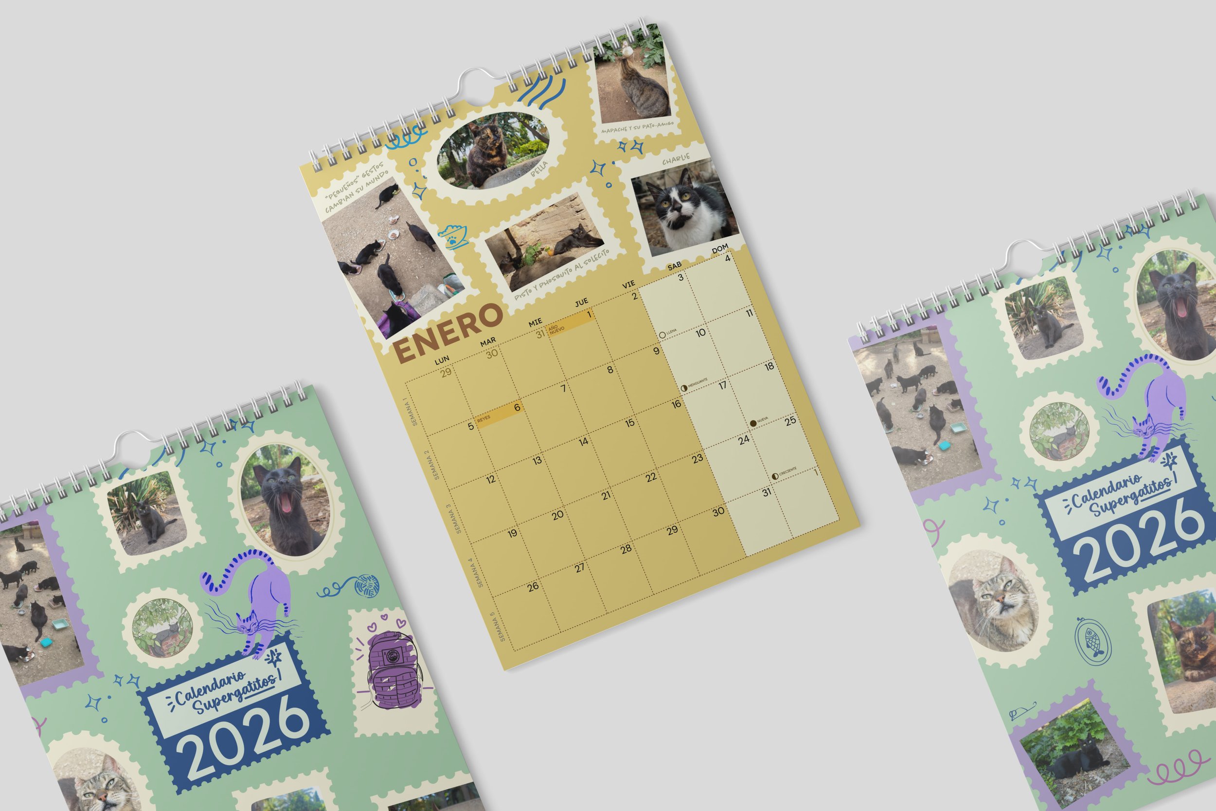 Calendario para Colonia Felina