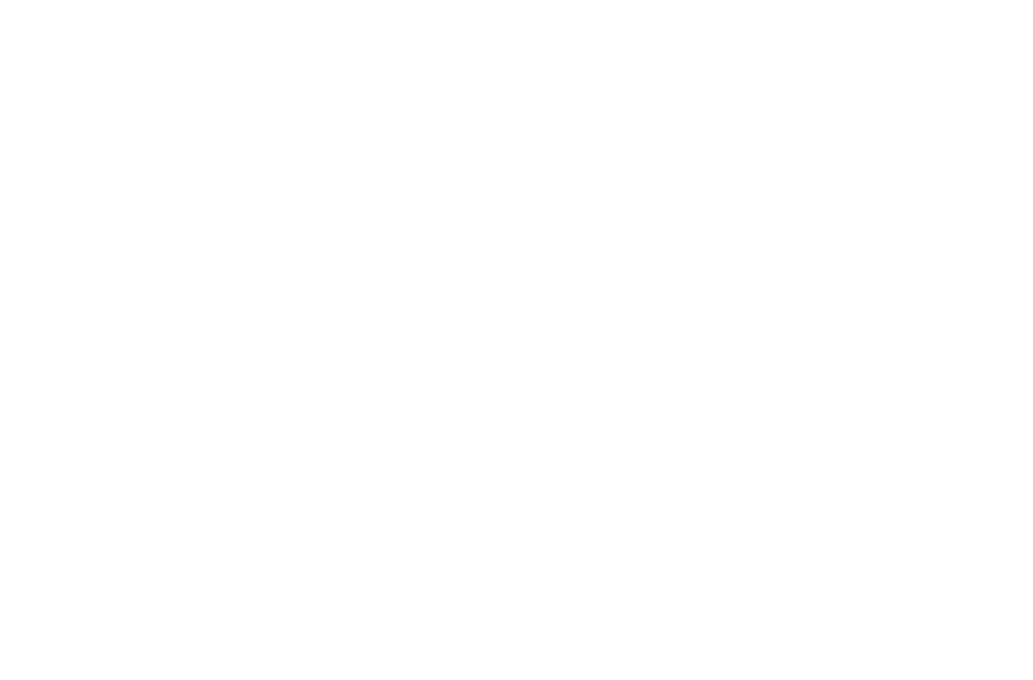 SkyVista Observation Wheel