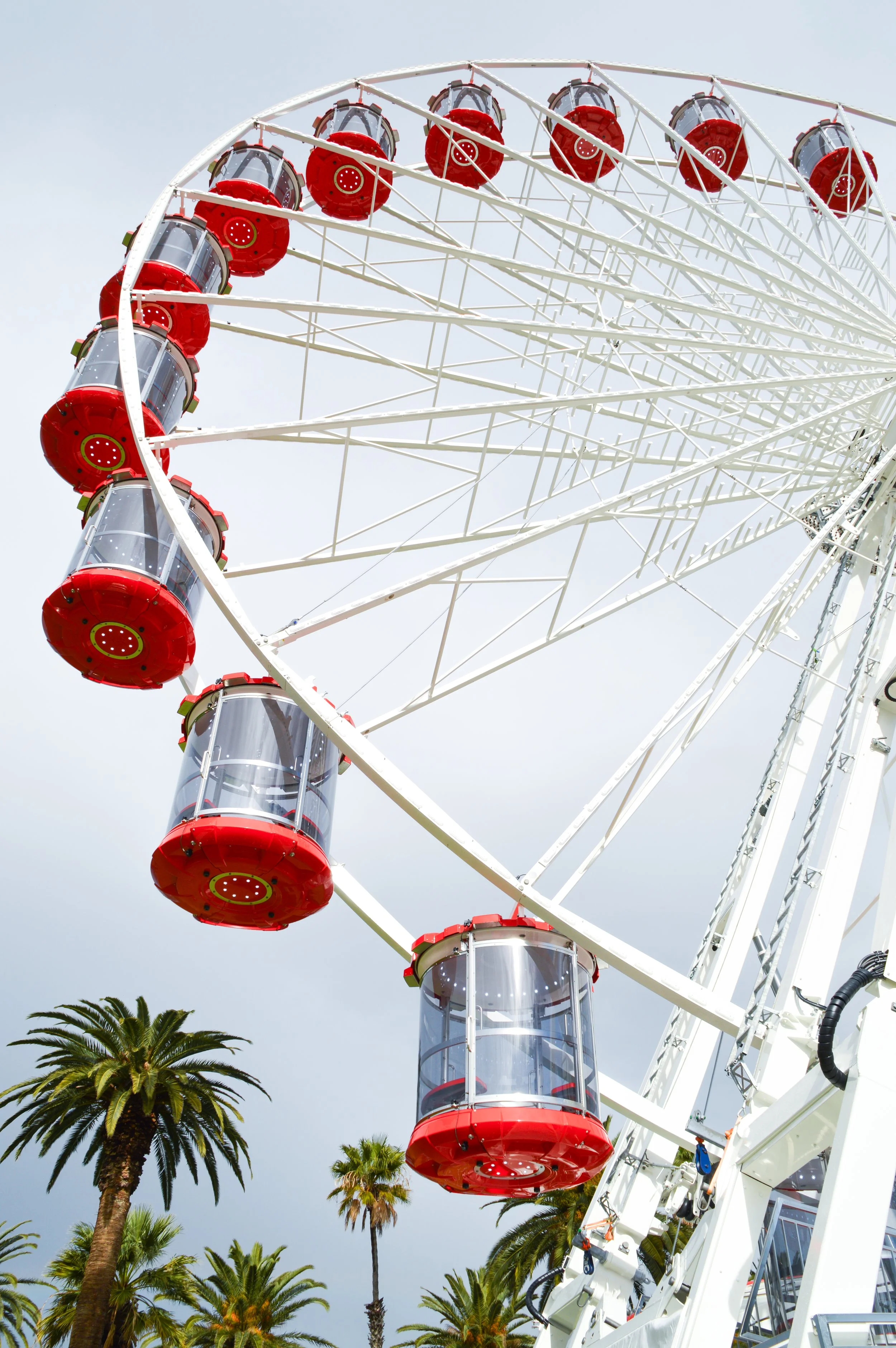 A large Ferris wheel with red and transparent enclosed gondolas, set against a blue sky with palm trees in the foreground.