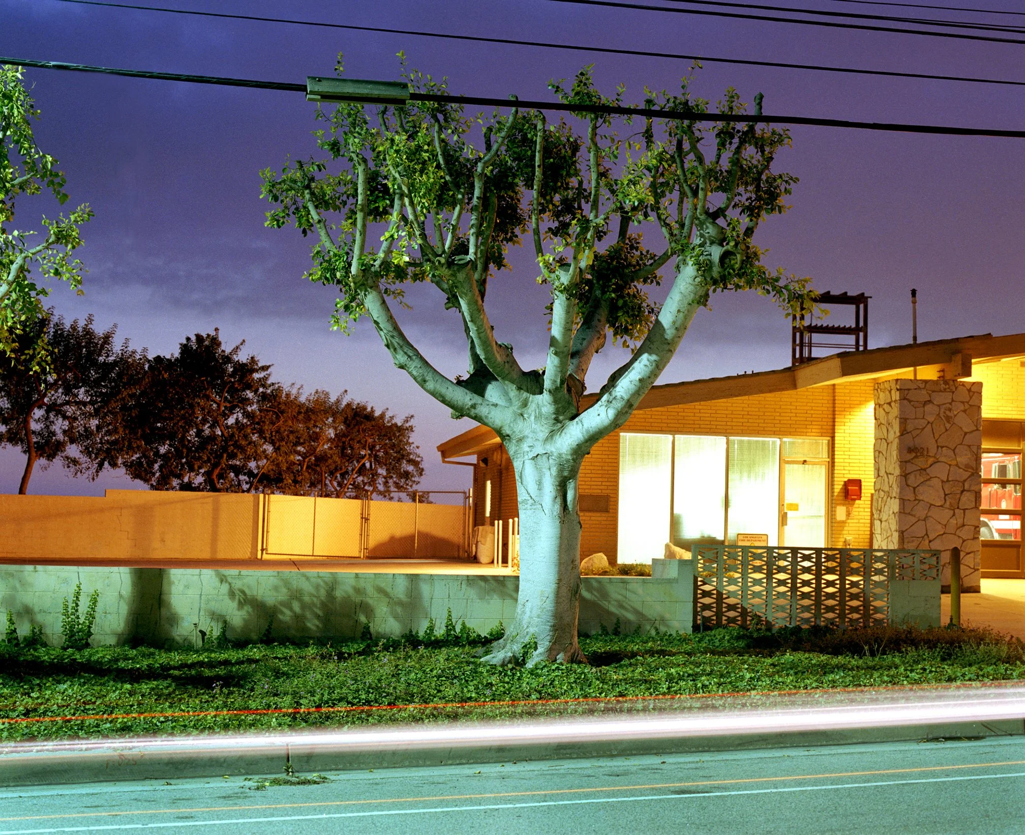001_Mullholand Night #1_Flat.jpg