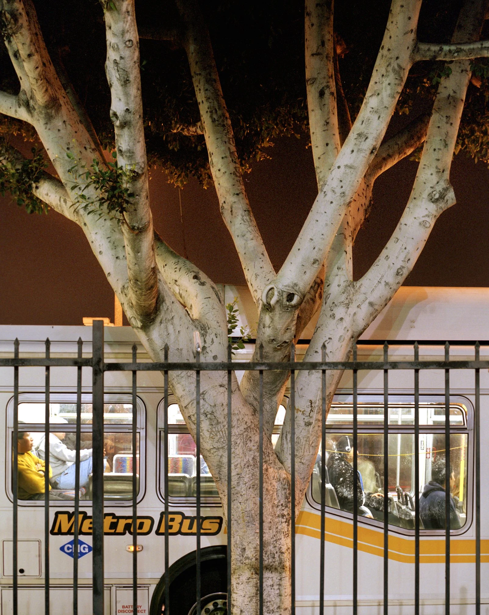 007_Boyle Heights #1 12_4_Flat.jpg