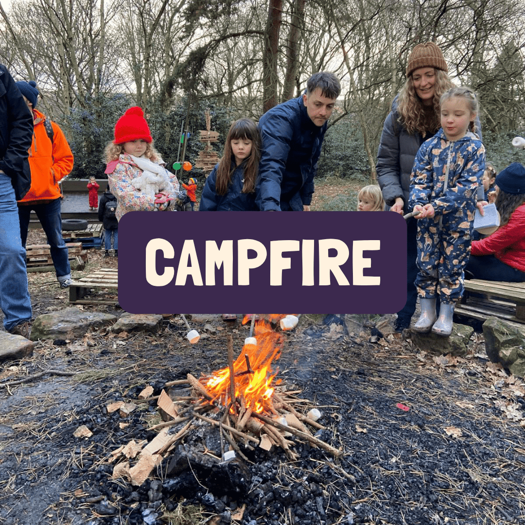 forest-folk-play-campfire.png