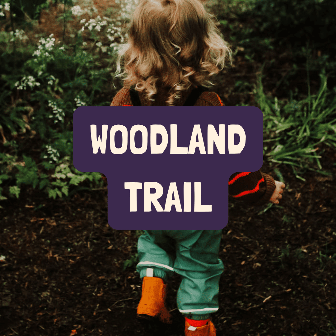 forest-folk-play-woodland.png