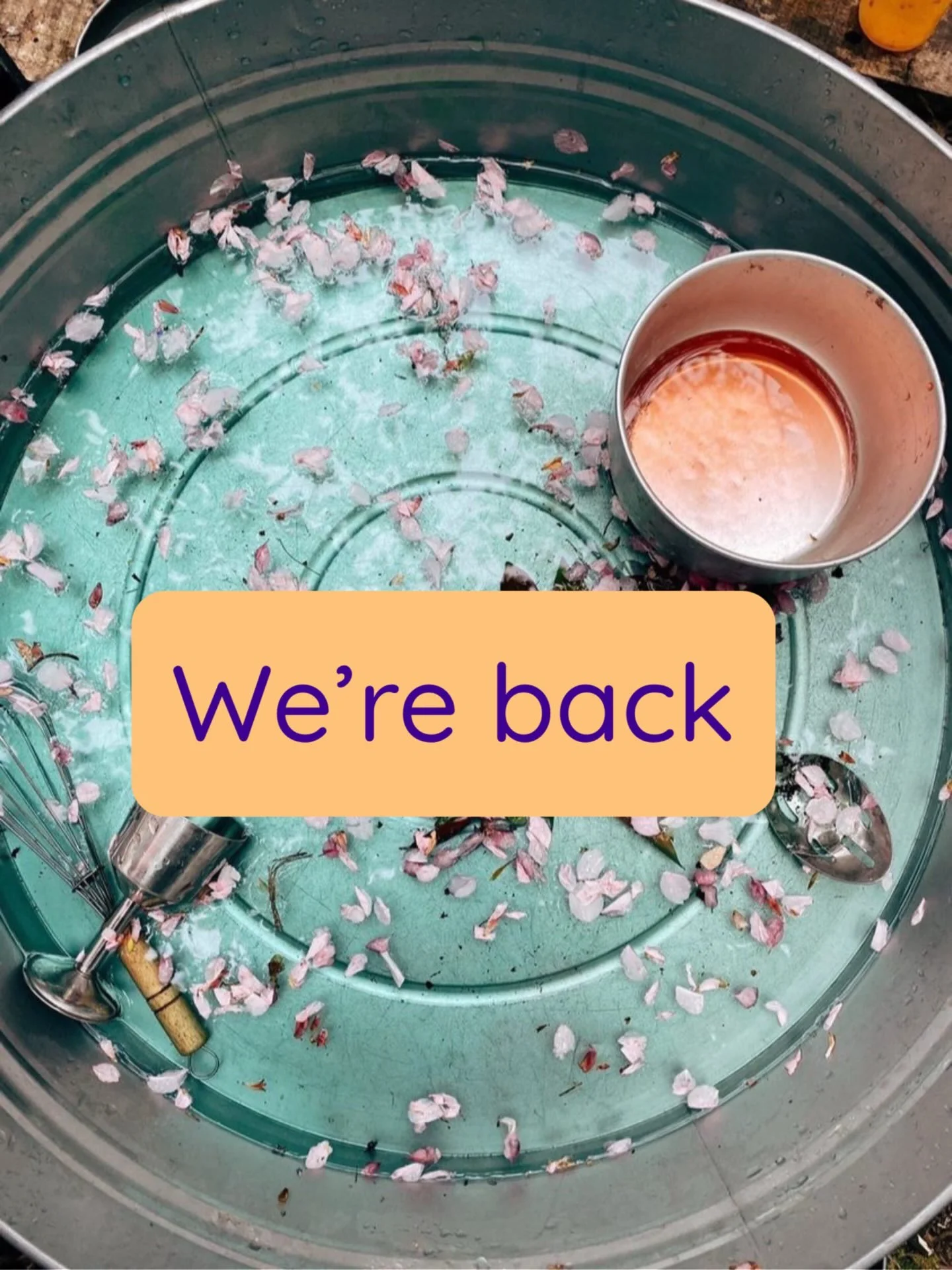 After a very long summer break, we&rsquo;re back in the woods next week.

I&rsquo;ve had a proper break over the summer, it&rsquo;s been lovely to slow down and spend time with my family. I&rsquo;m now very ready to get back to Forest Folk Play.

I&r
