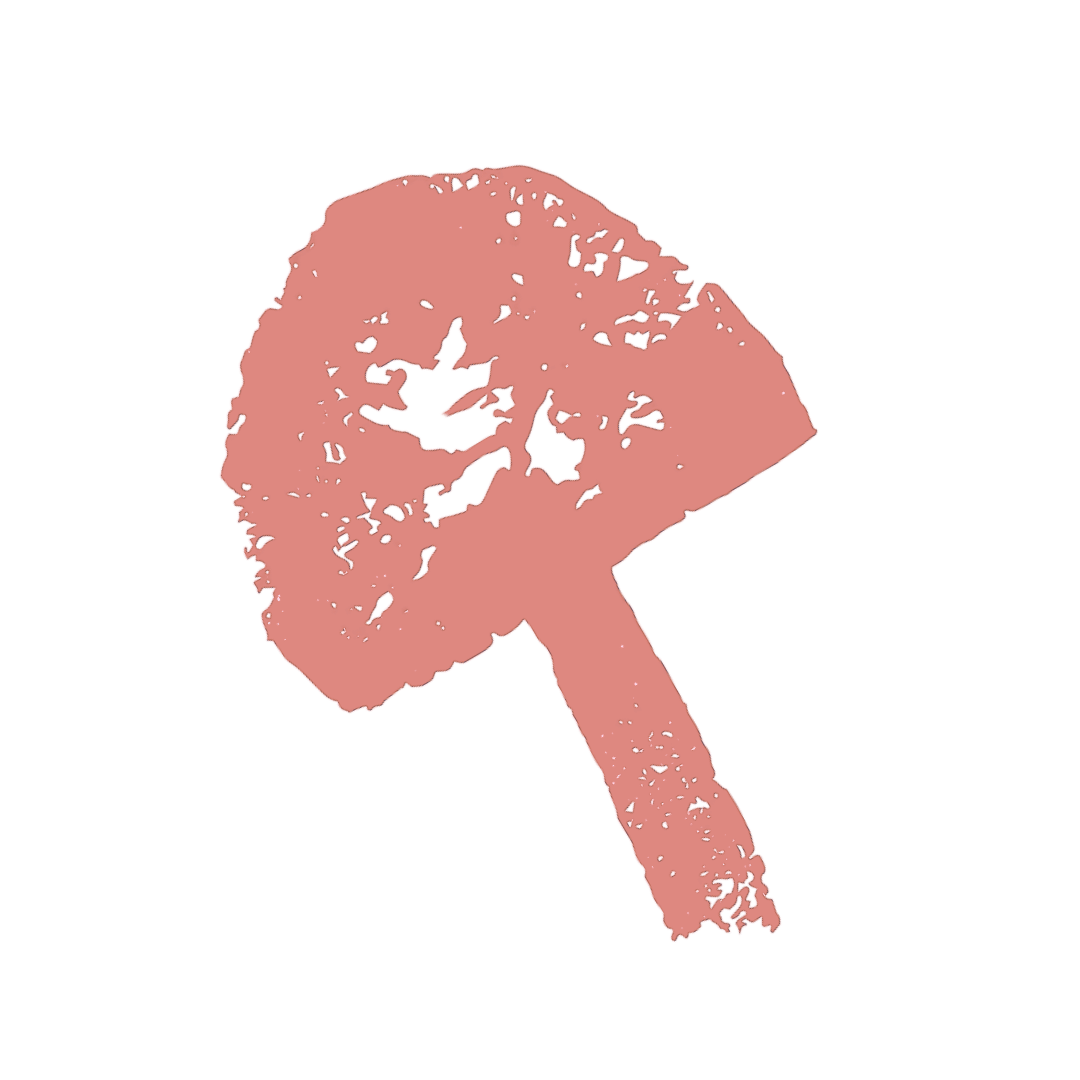 A pink, distorted, stencil-like silhouette of a cherry blossom branch on a black background.