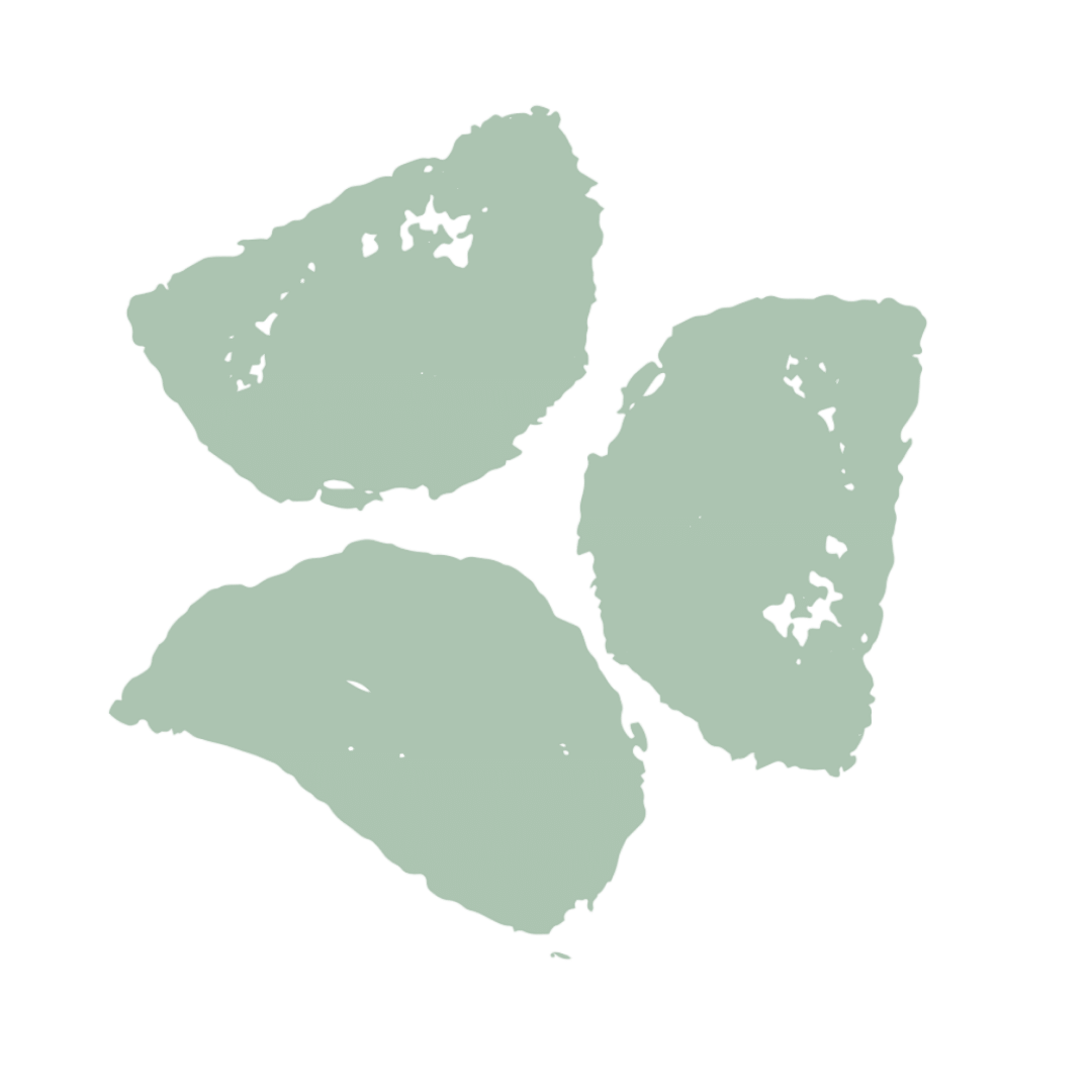A black background with three light green, cracked coconut halves arranged in a triangular pattern.