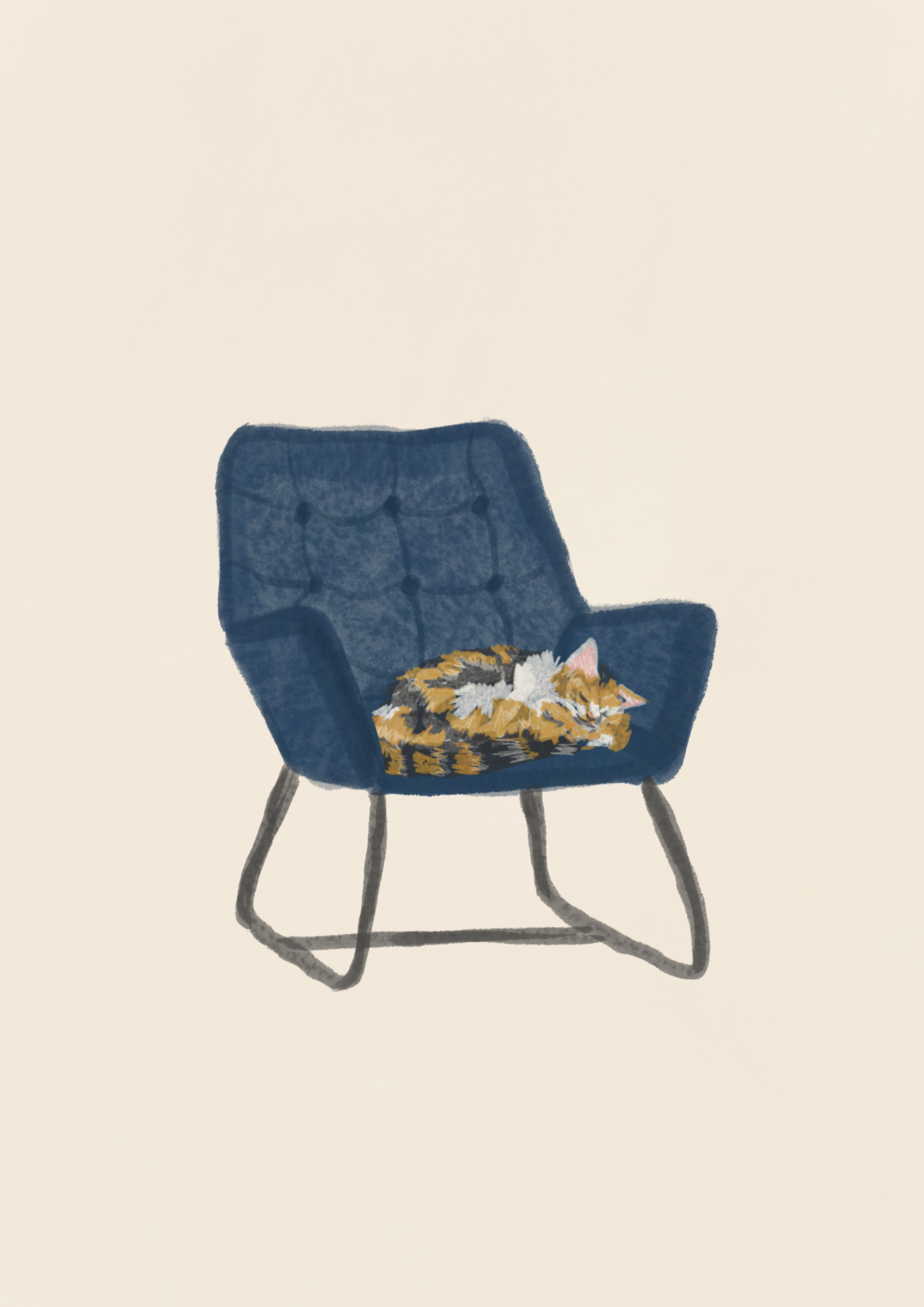 Cat On Blue Chair