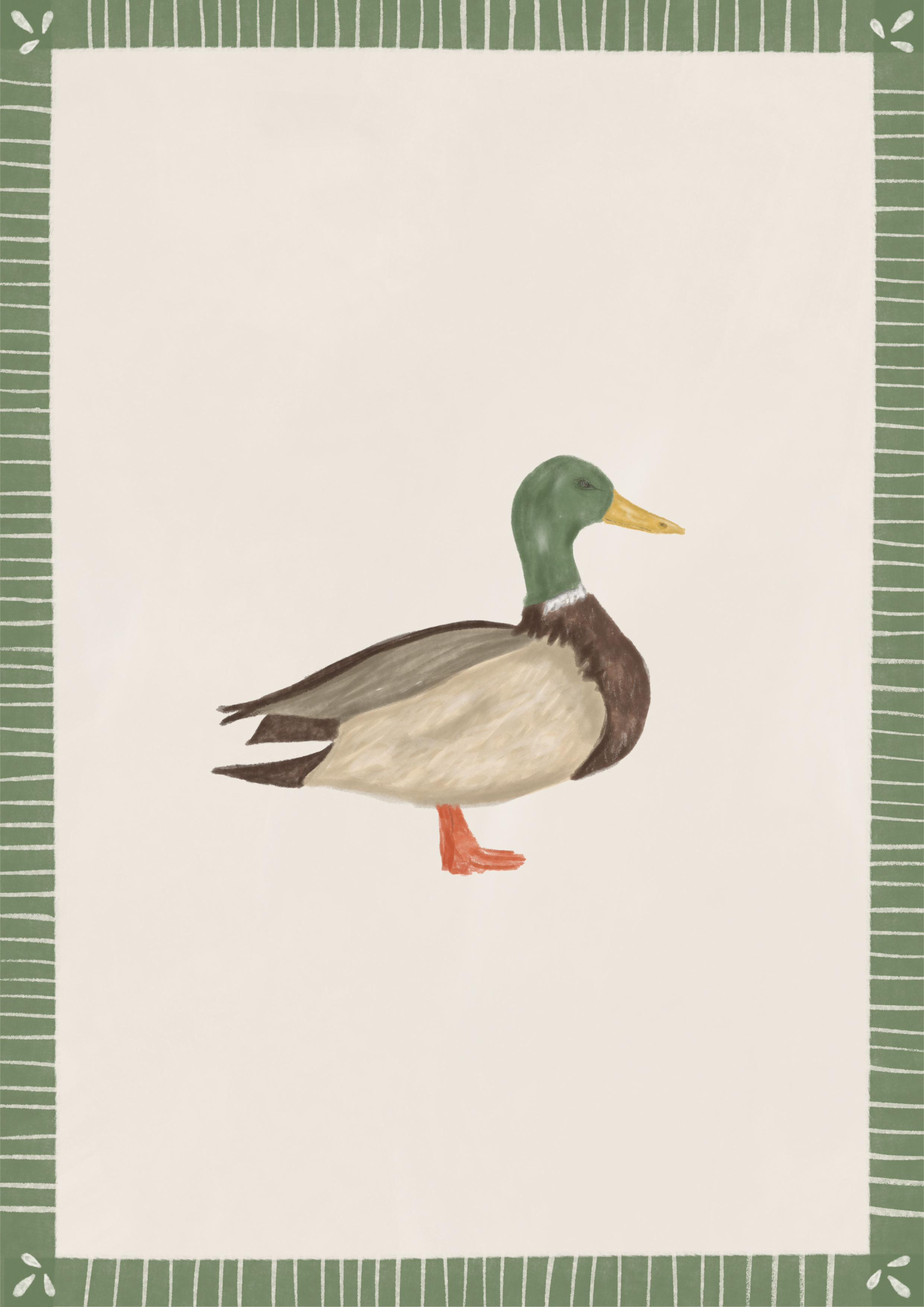 IMG_3054.PNG