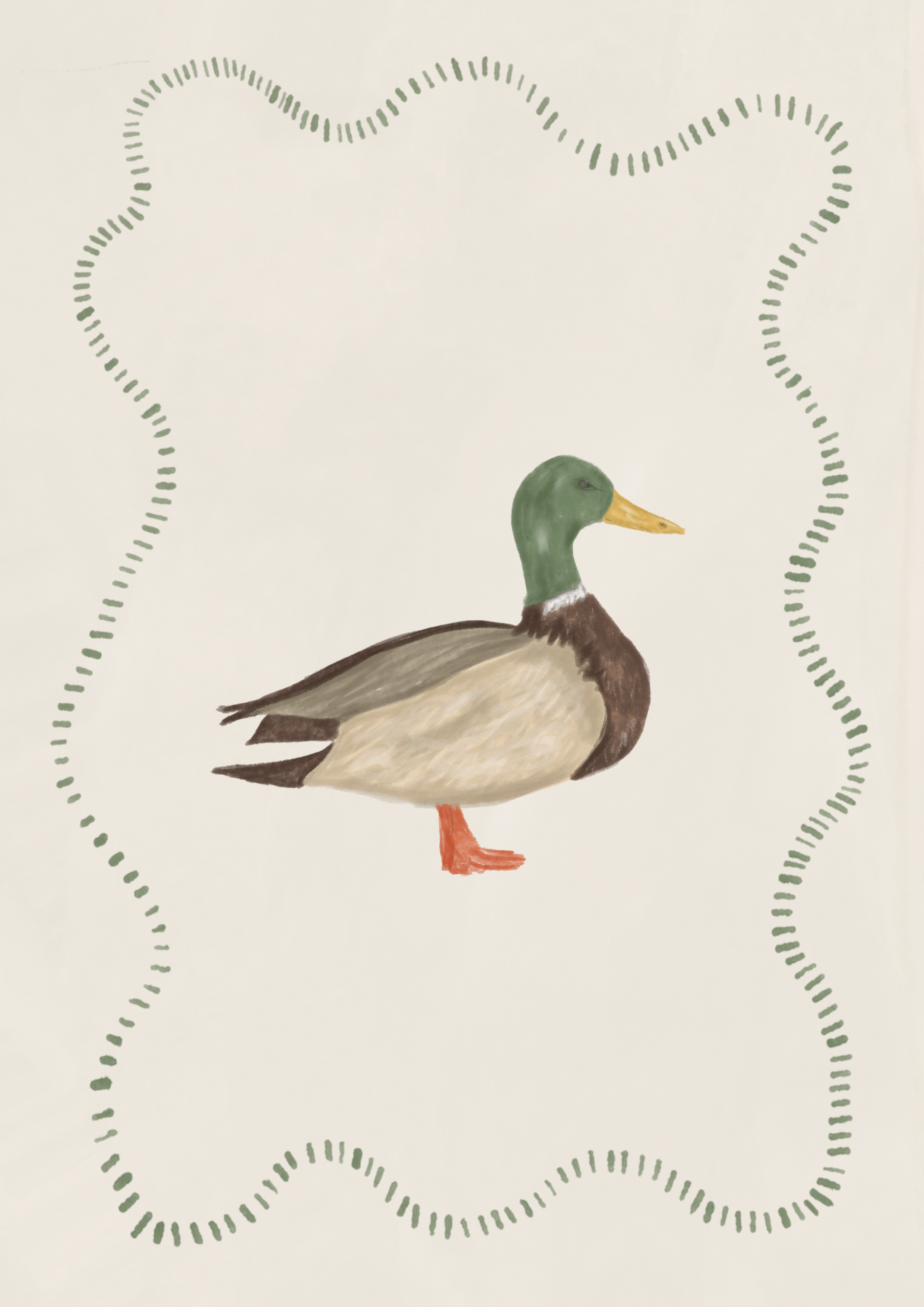 Duck