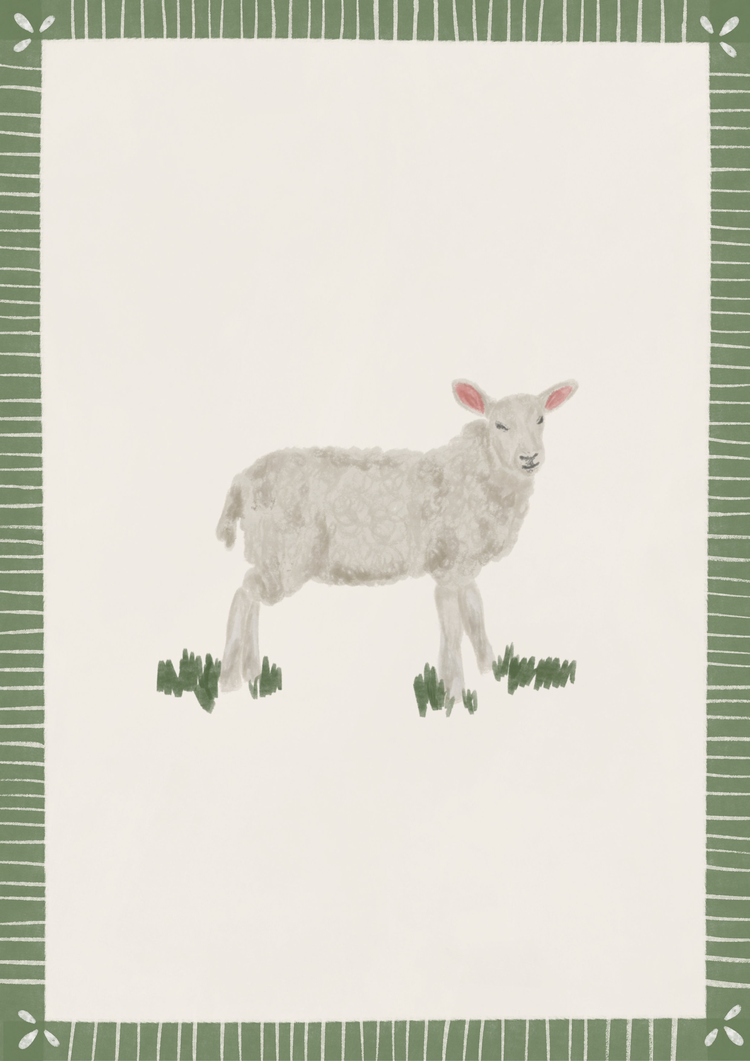 Sheep