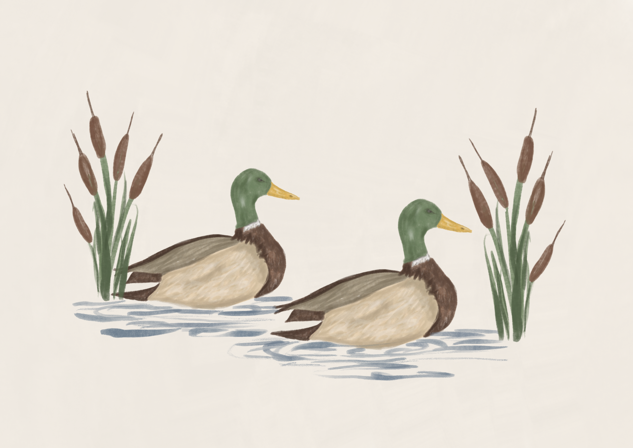 Duck Amongst Reeds