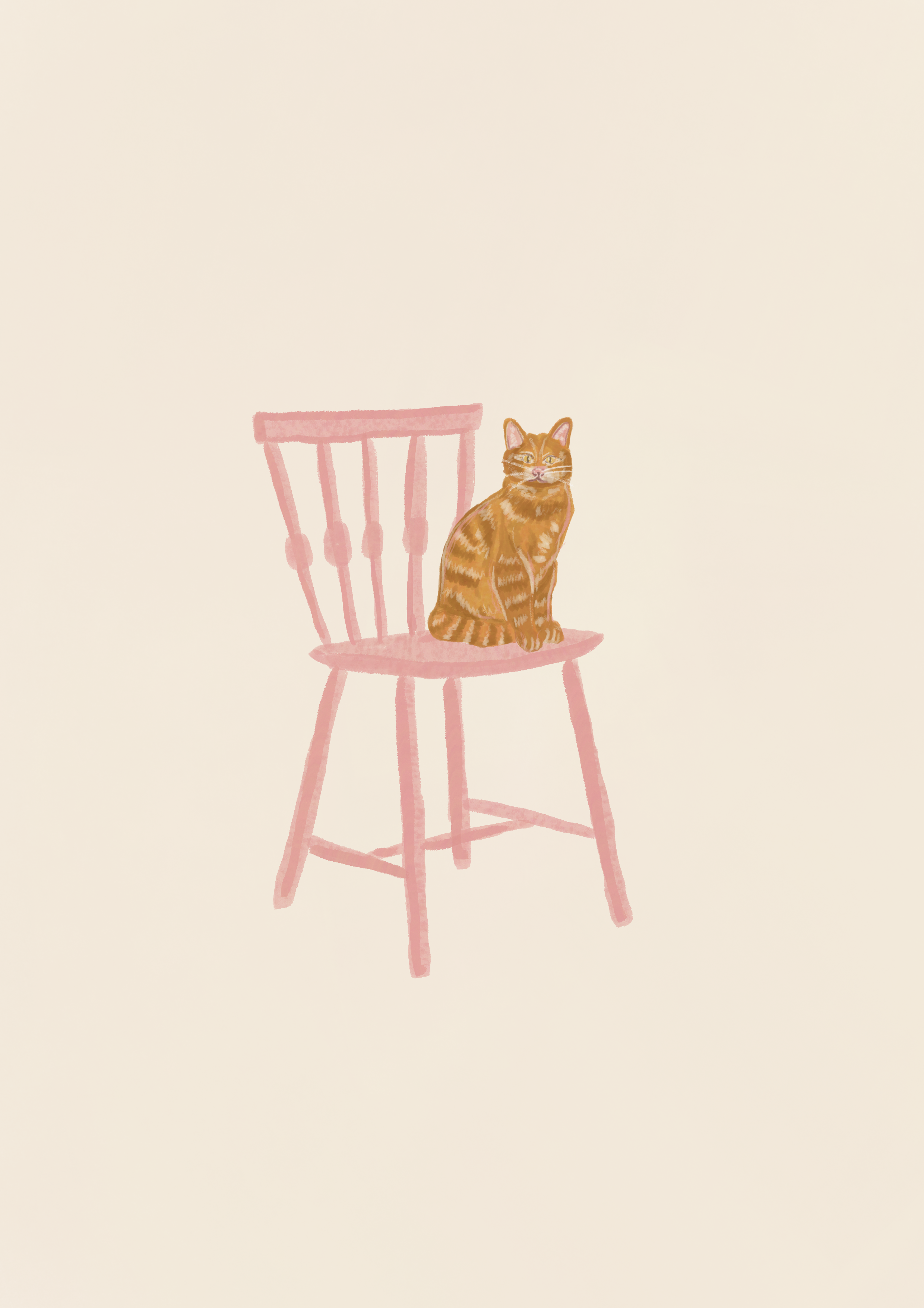 Cat On Wooden Chair