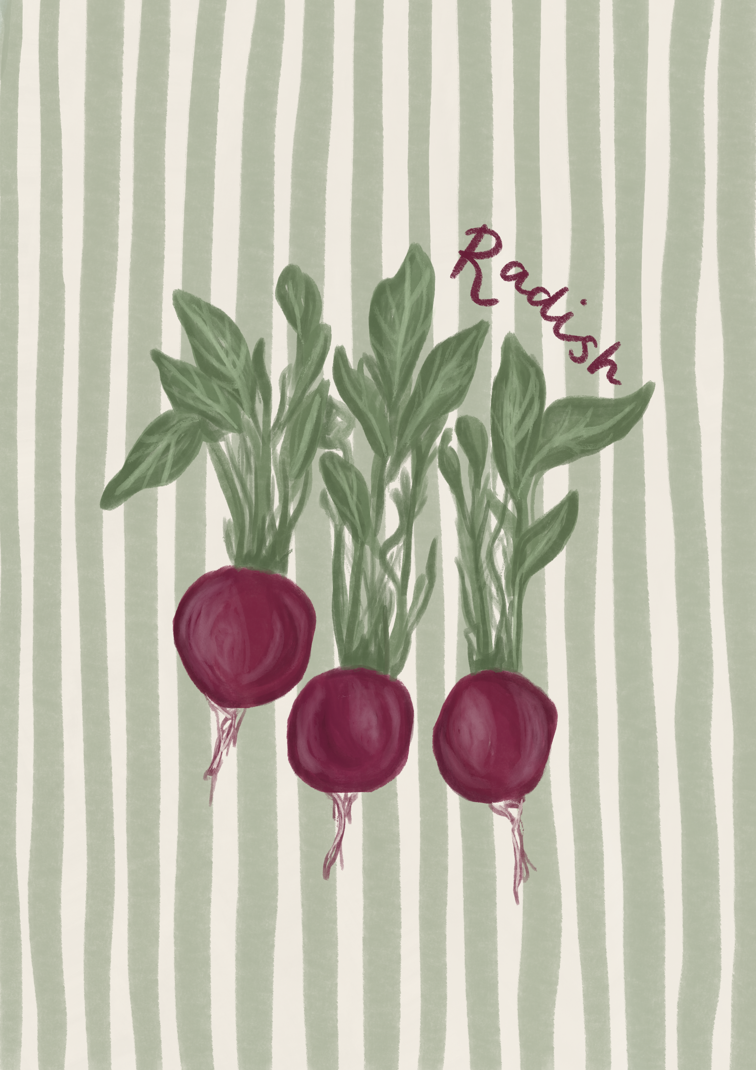 Radish