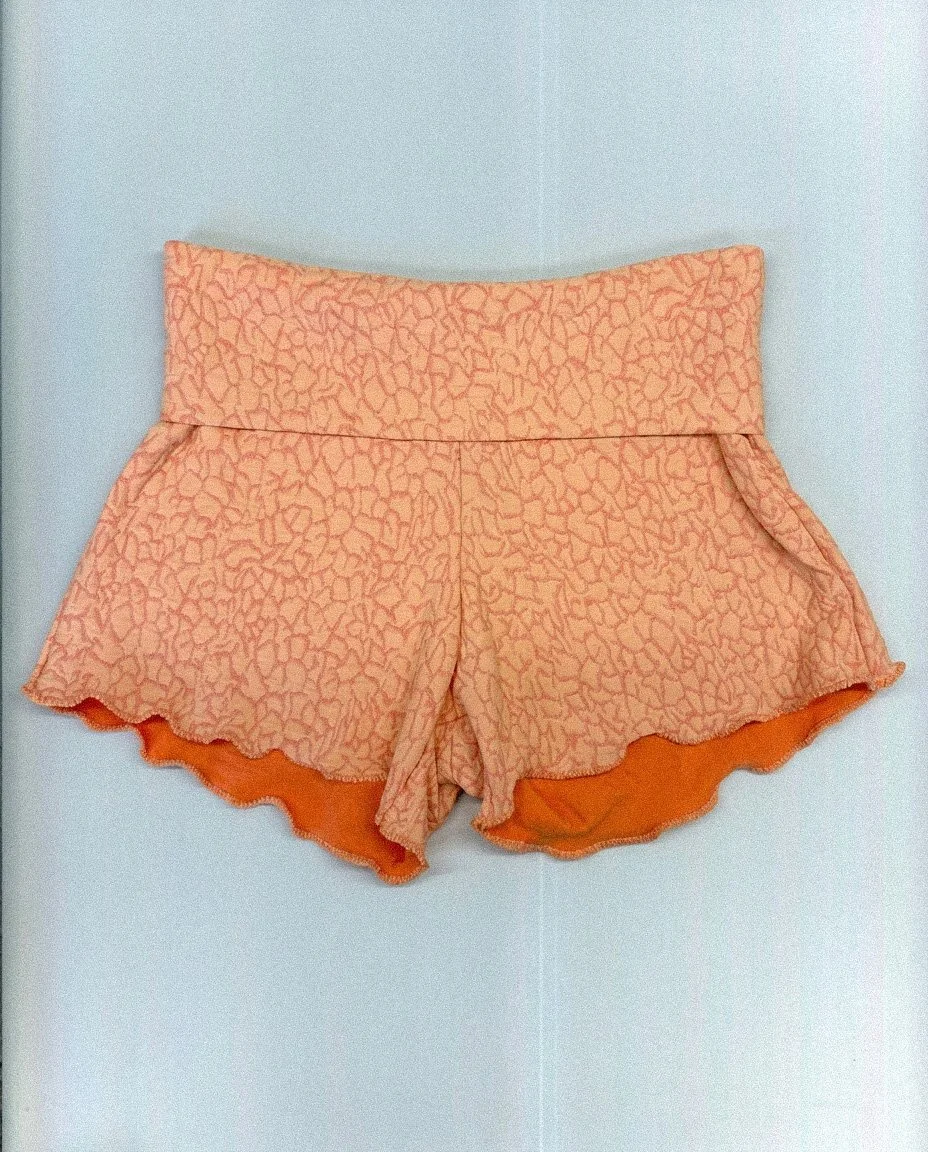 TulipShortOrange.jpeg