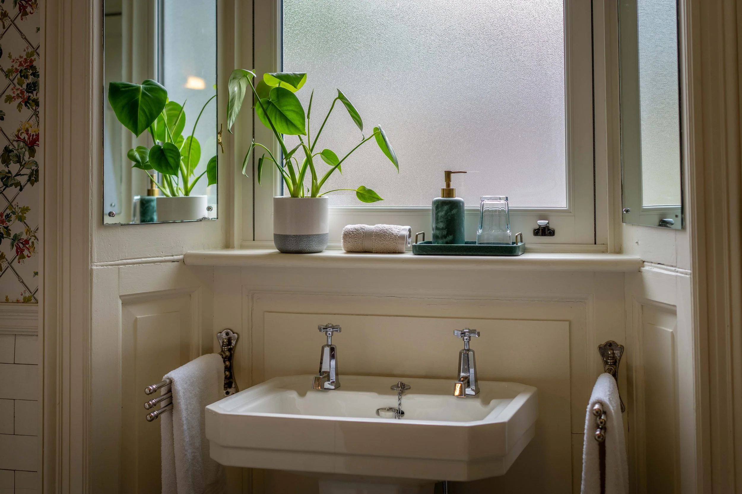 Bathroom window with frosted glass, a potted plant with large green leaves on the window sill, soap dispenser, and two towels hanging on towel bars, one on each side.