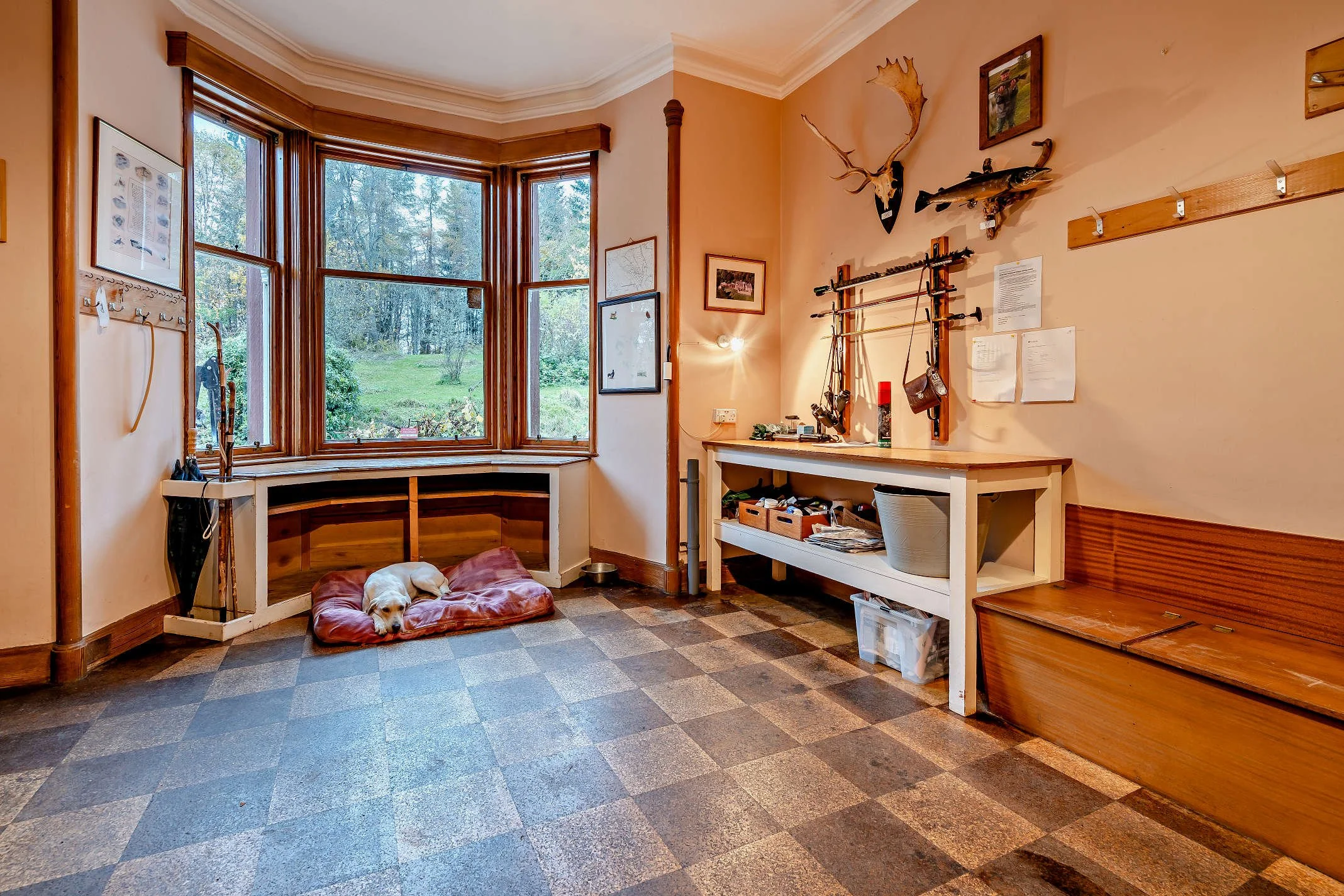 A cozy room with a large bay window overlooking a green outdoor area. Inside, a small dog is sleeping on a brown pet bed on a checkered floor. The walls are decorated with framed pictures, a mounted deer antler, and fishing rods. There is a white she