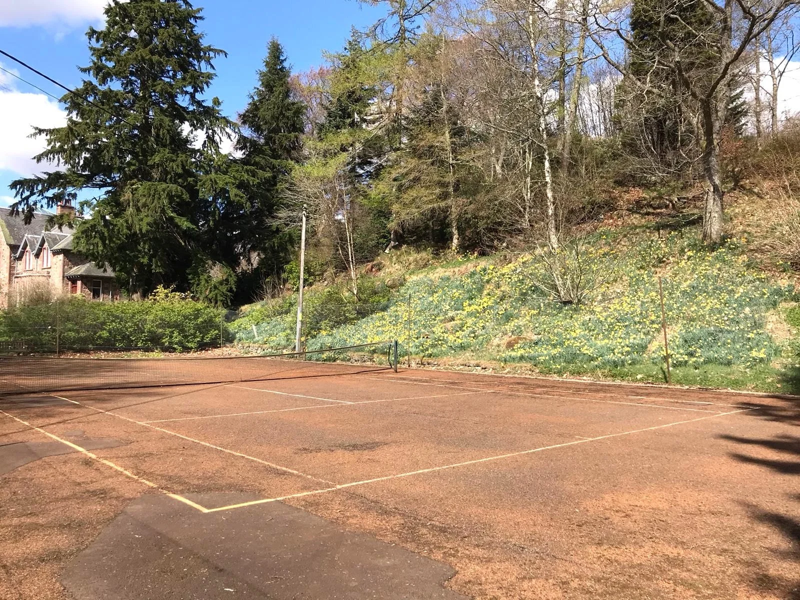 tennis court persie.JPG