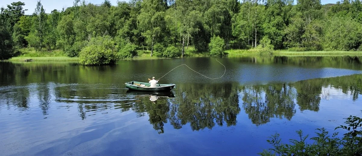 Brown trout fishing
