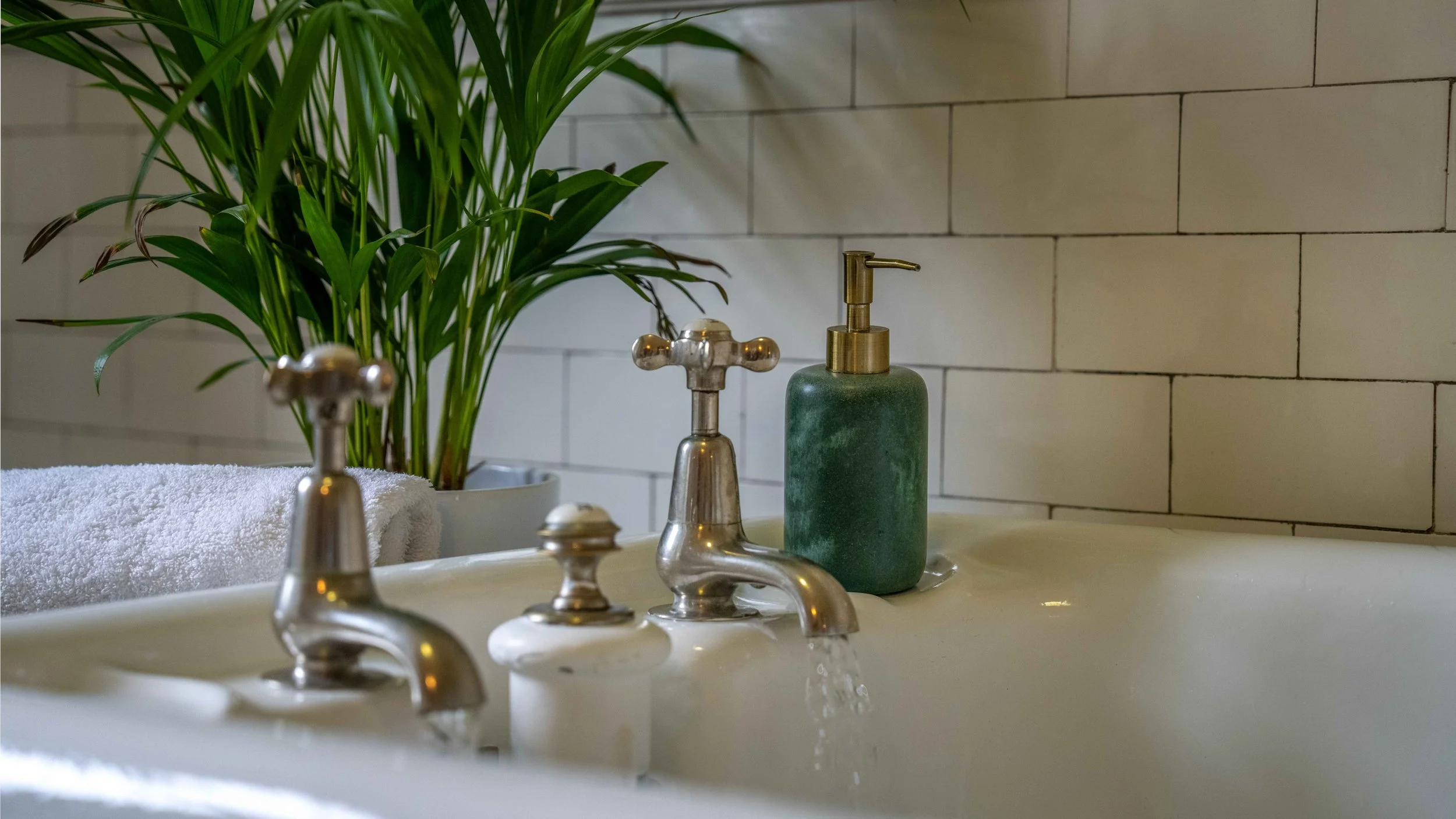 Close-up of a vintage sink faucet with a green soap dispenser and a potted plant in the background, on a bathroom counter.