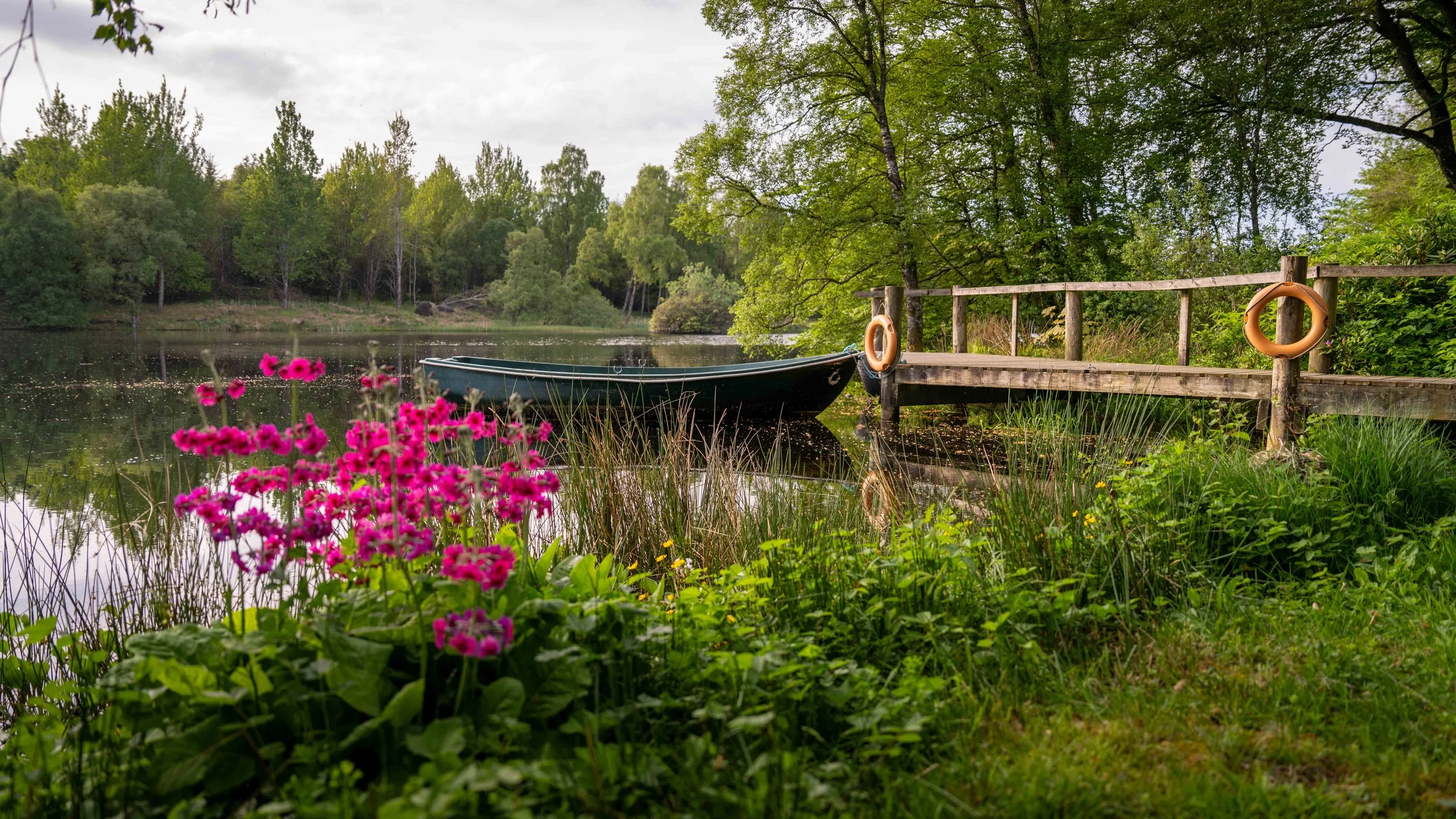 A peaceful lakeside scene with pink flowers in the foreground, a blue boat tied to a small wooden dock, surrounded by lush green trees and a calm body of water under an overcast sky.
