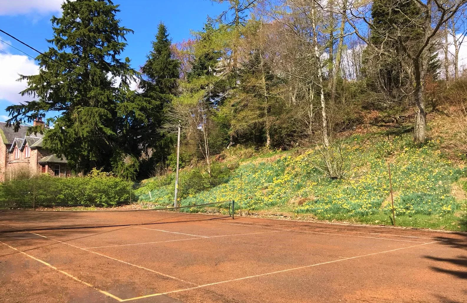 Empty tennis court with a fence, surrounded by trees and yellow flowers on a hillside under a partly cloudy sky.