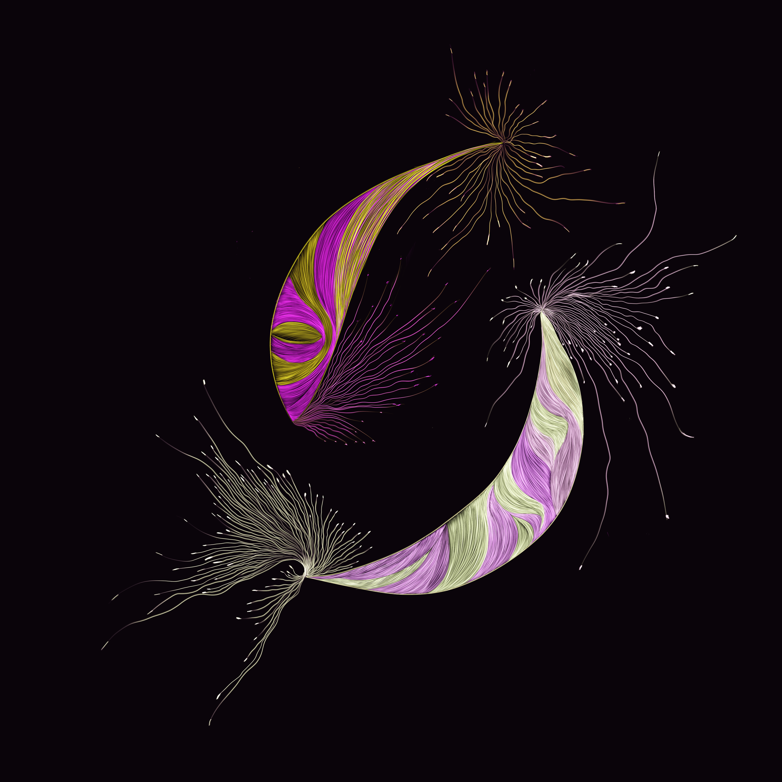 Abstract digital artwork featuring colorful, flowing lines and filament-like structures against a black background.