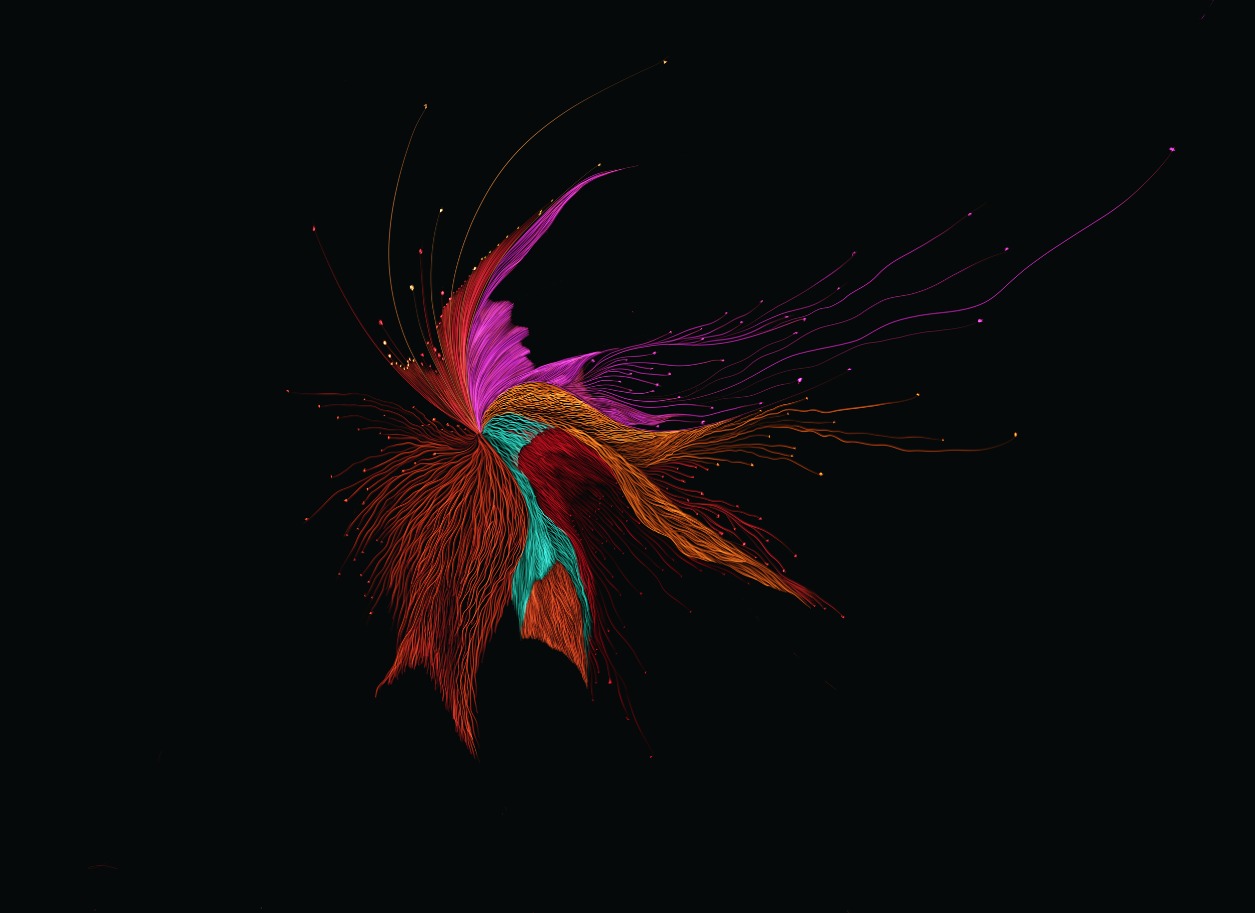 Abstract digital artwork featuring multicolored flow lines resembling a butterfly or flower against a black background.