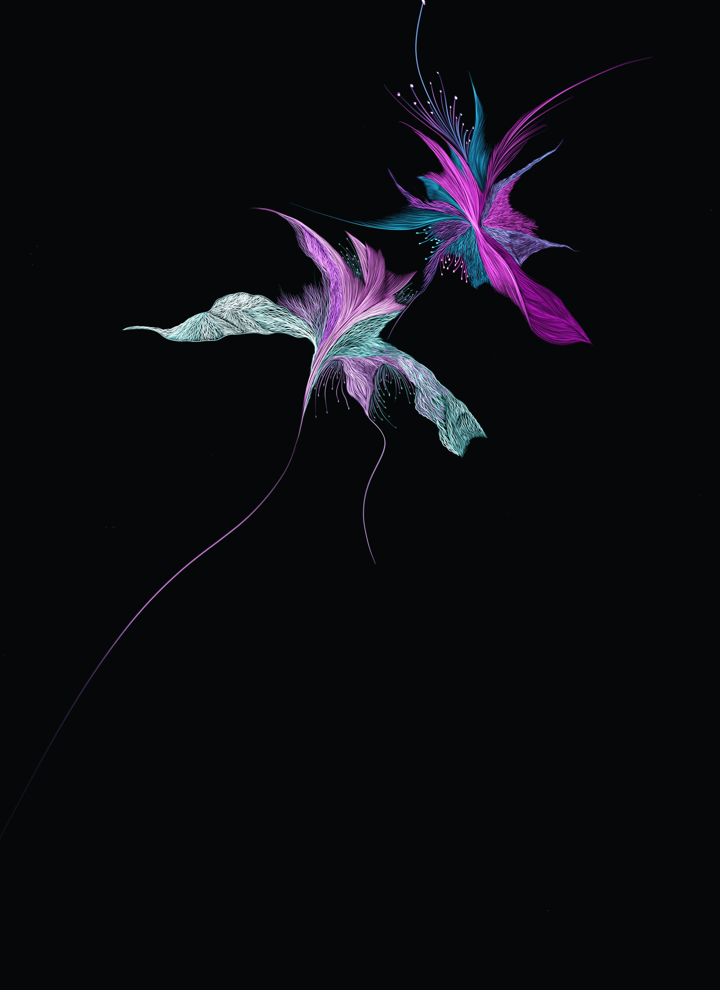 Digital abstract artwork featuring vibrant, colorful lines and shapes resembling feathers or petals on a black background.