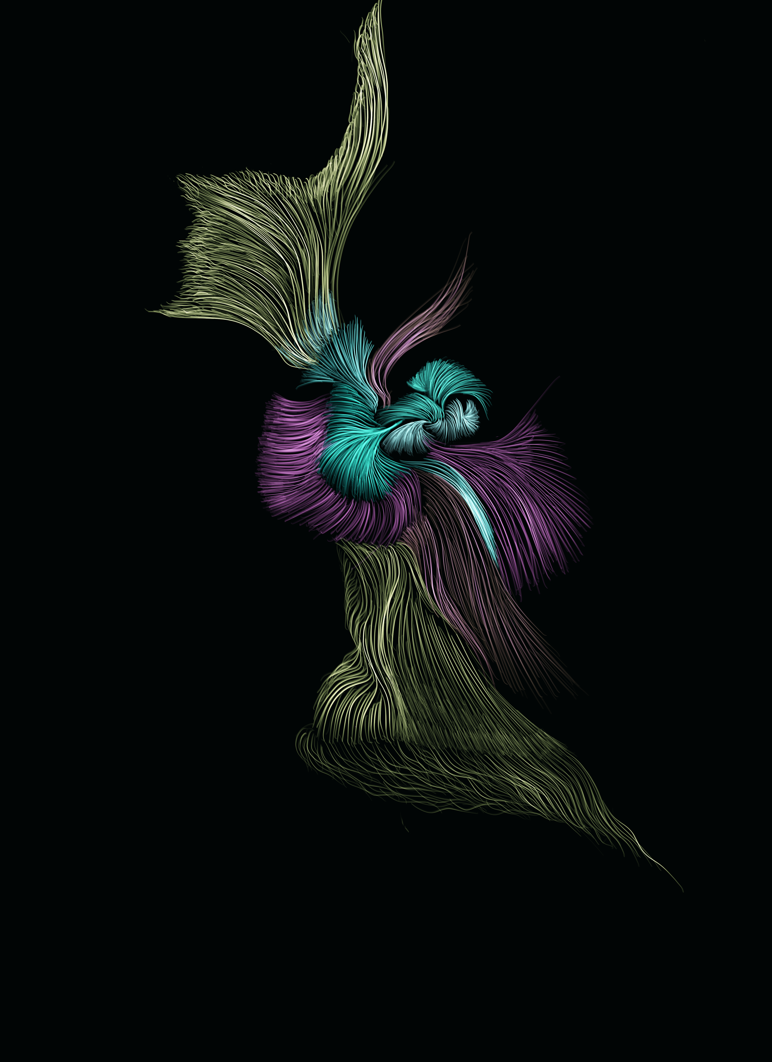 Abstract digital art of a colorful, flowing feather-like shape against a black background.