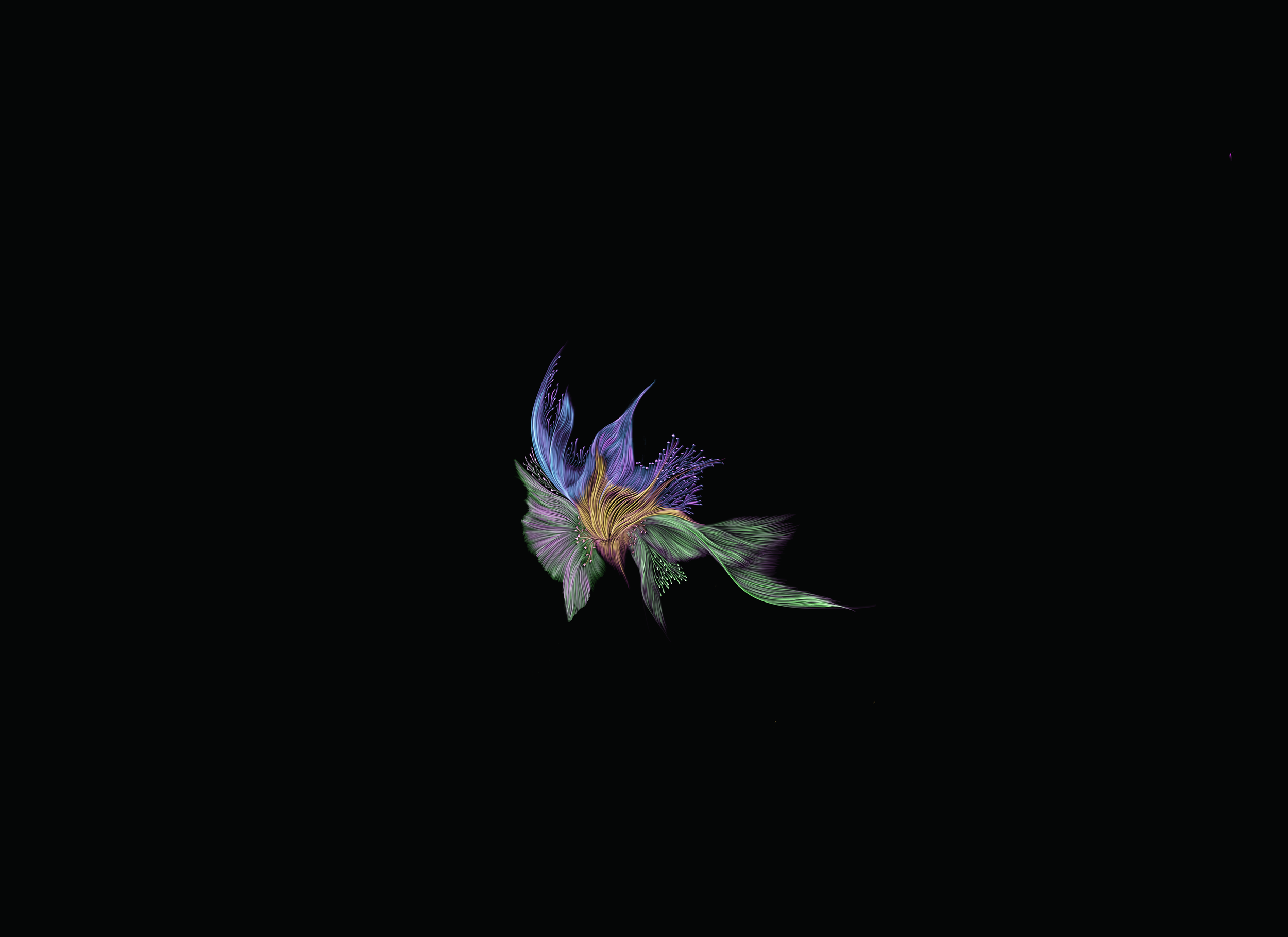 Colorful, abstract digital flower with flowing lines and vibrant hues against a black background.
