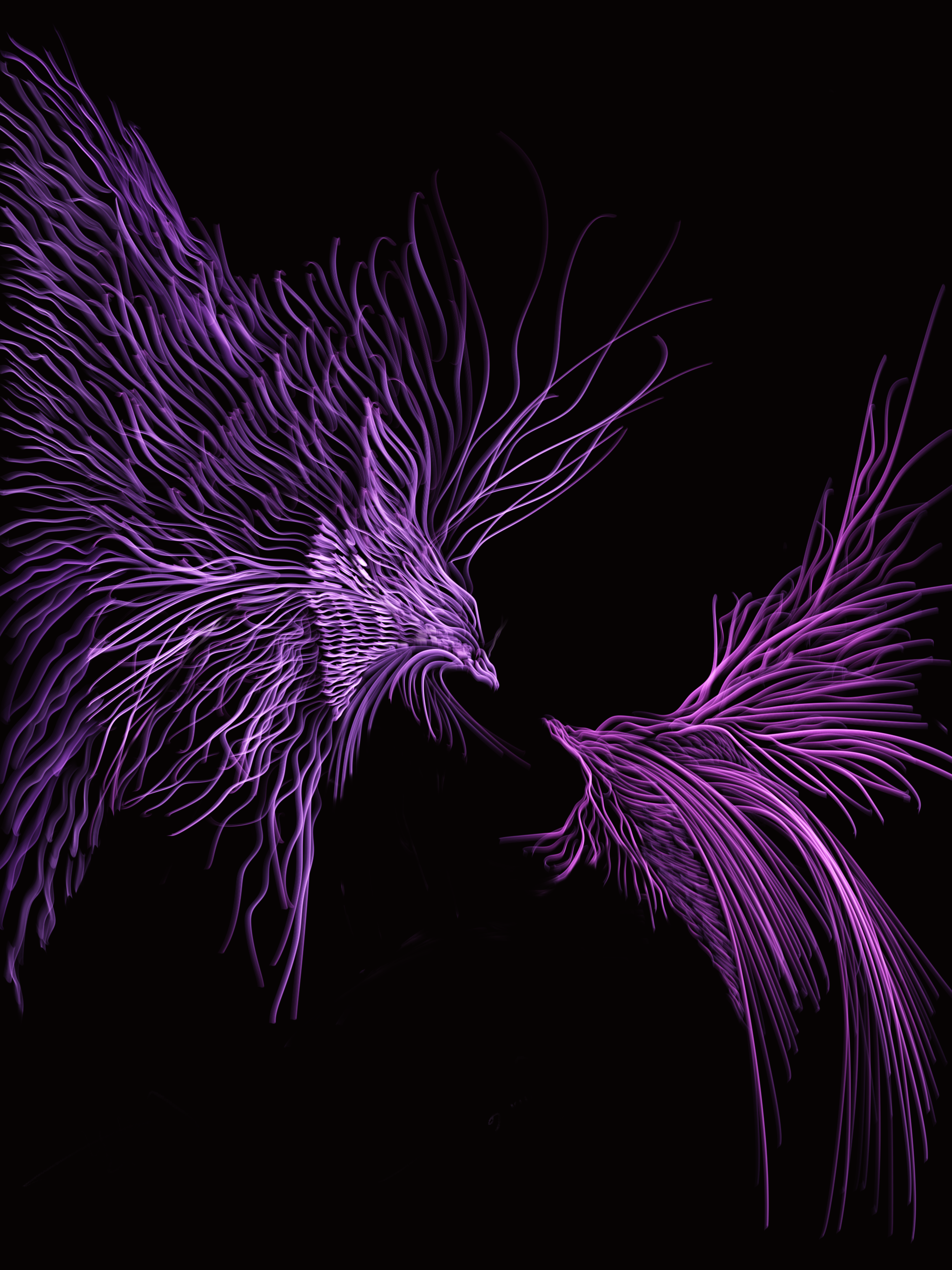 Digital artwork of a stylized purple bird with flowing feathers against a black background.