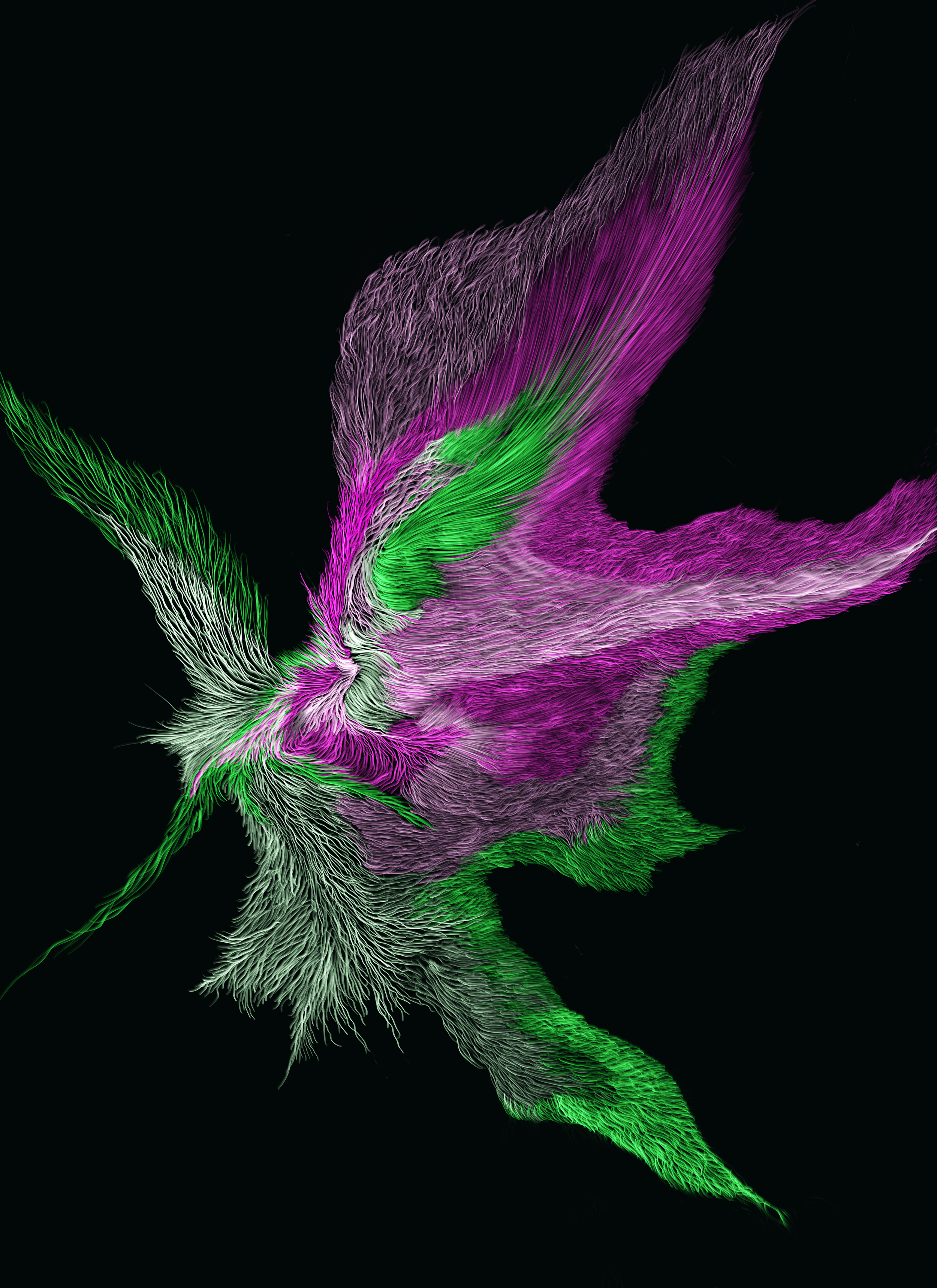 Digital art of a colorful peacock feather with pink, green, and purple hues on a black background.