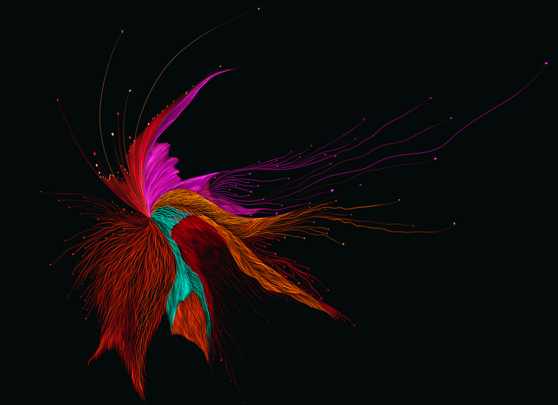 Abstract digital artwork resembling a colorful, flowing bird with vibrant pink, orange, red, and teal lines on a black background.