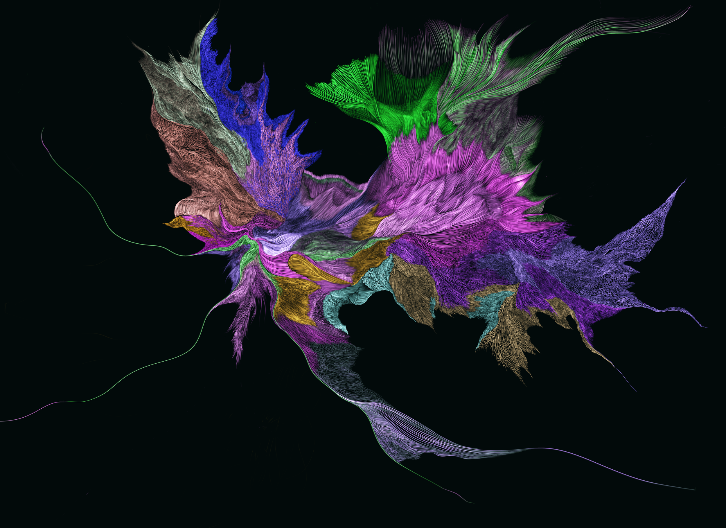 Abstract digital artwork with colorful wispy, feather-like shapes on a black background.