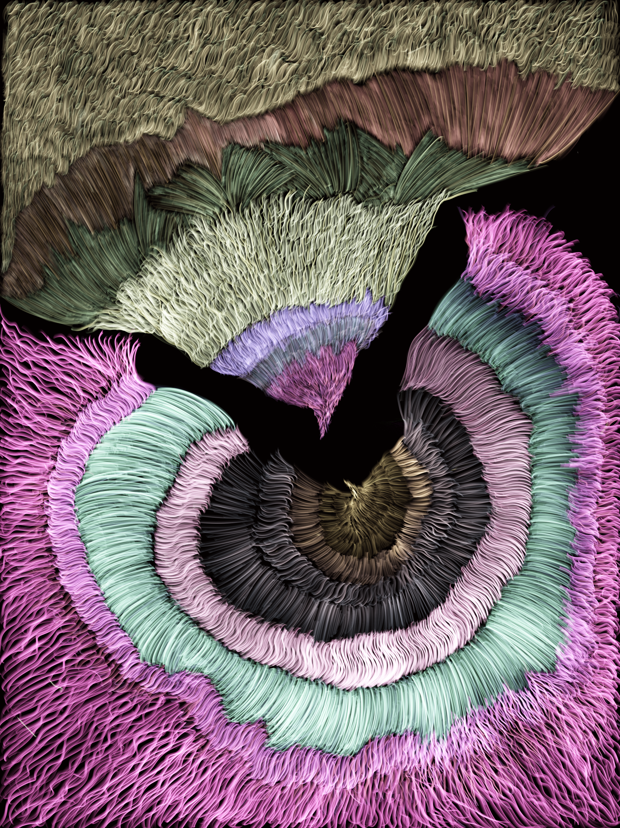 Colorful, abstract, spiral pattern with feather-like textures in shades of pink, green, purple, tan, and black.