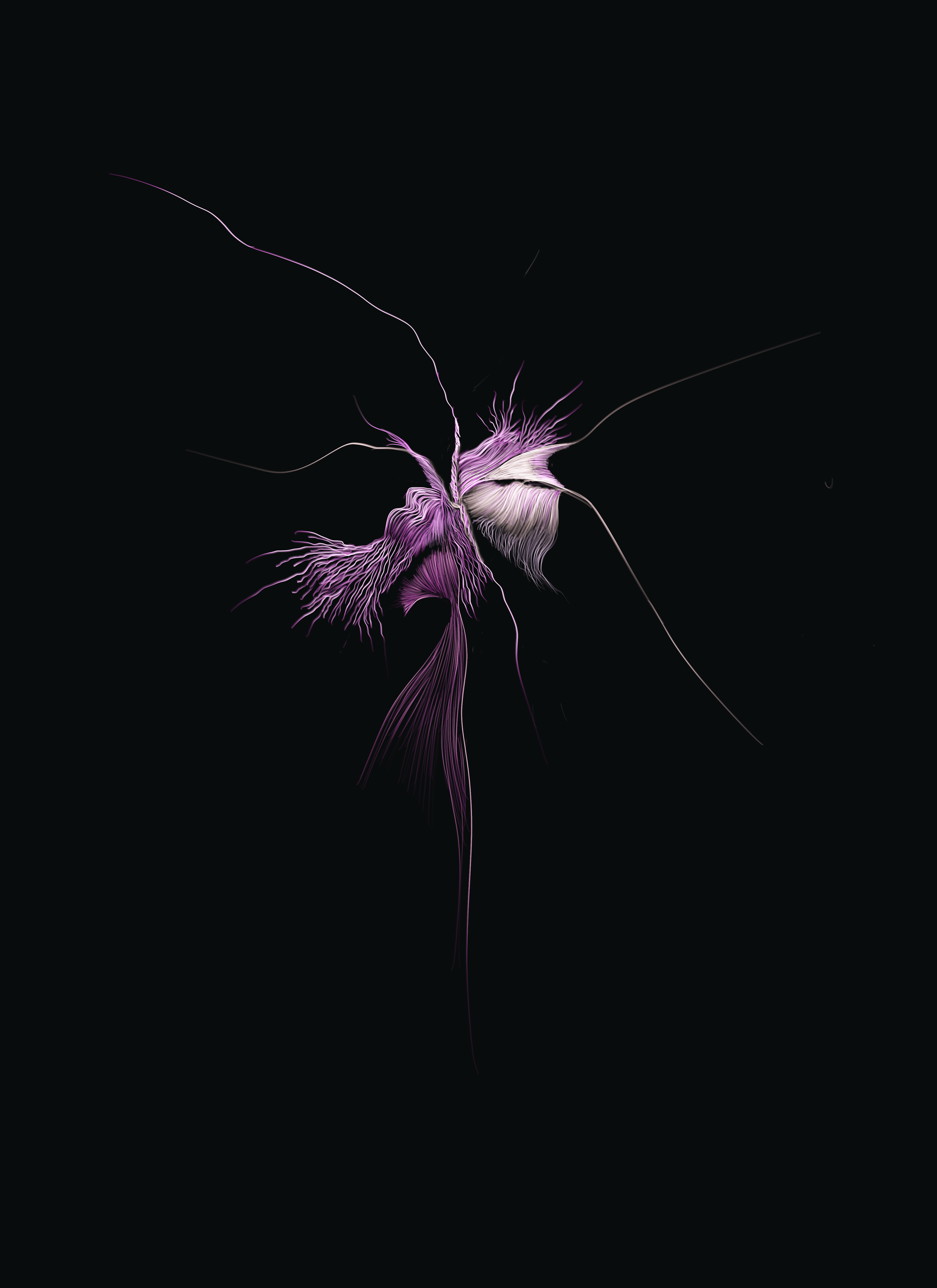 Abstract digital artwork of a luminous, fractal-like form with flowing, hair-like strands in shades of purple and white on a black background.