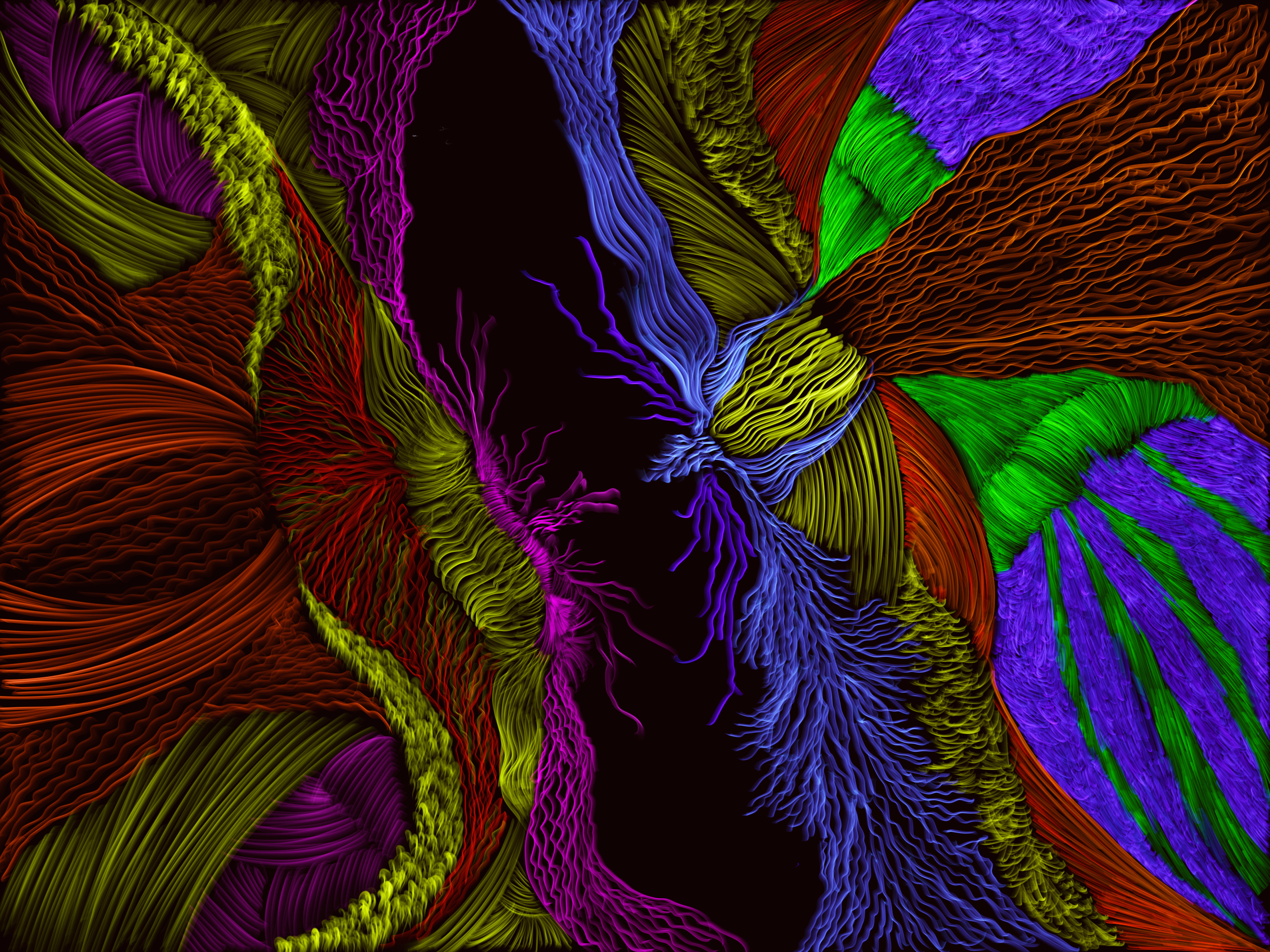 A vivid abstract digital artwork featuring swirling colorful lines and textures in shades of red, purple, green, blue, and yellow, with a dark central area creating a contrast.