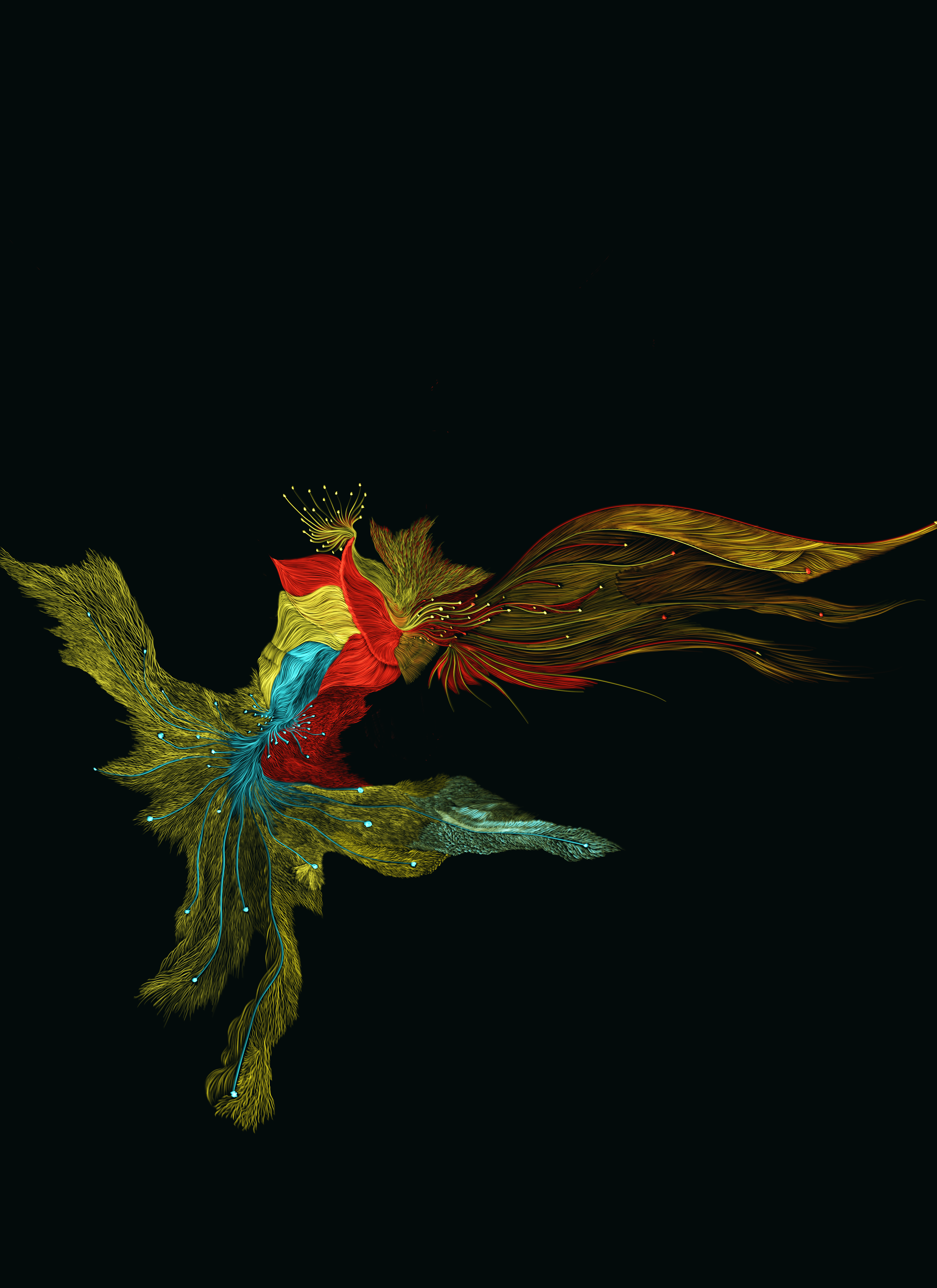 Colorful digital artwork depicting a stylized bird with flowing feathers in red, yellow, and blue against a black background.