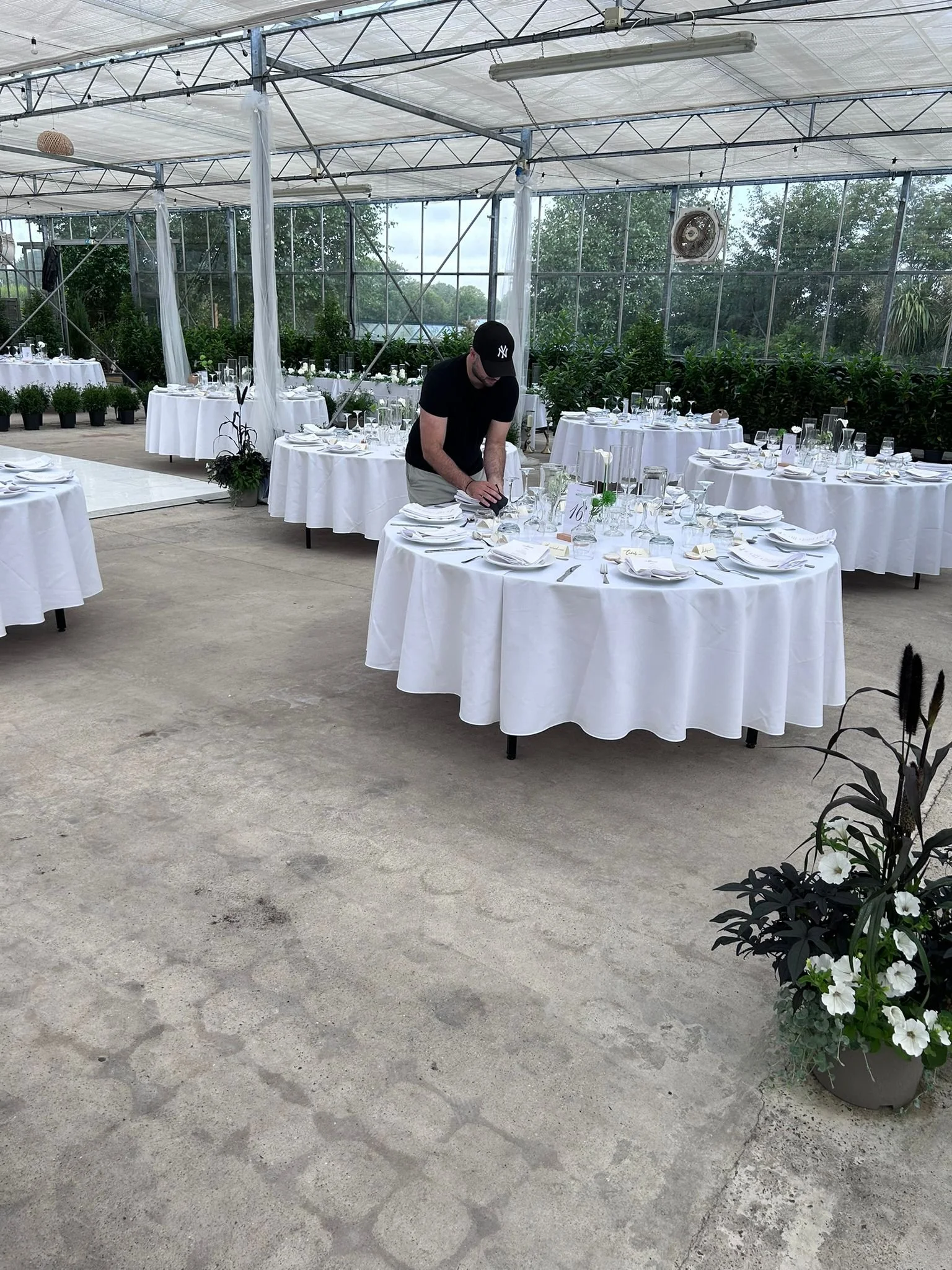 Event setup with round tables covered in white tablecloths, set with plates, glasses, towels, and table numbers inside a green greenhouse with outdoor view